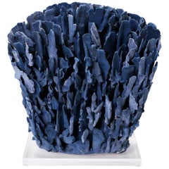 Sculpture de corail bleu naturel sur Lucite