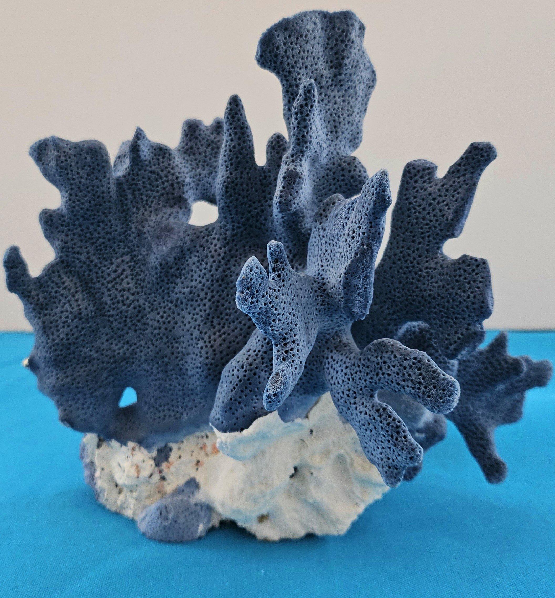 Spécimen naturel de corail bleu, véritable. Magnifique bleu profond avec corail naturel blanchâtre Bon état - En vente à Warrenton, OR