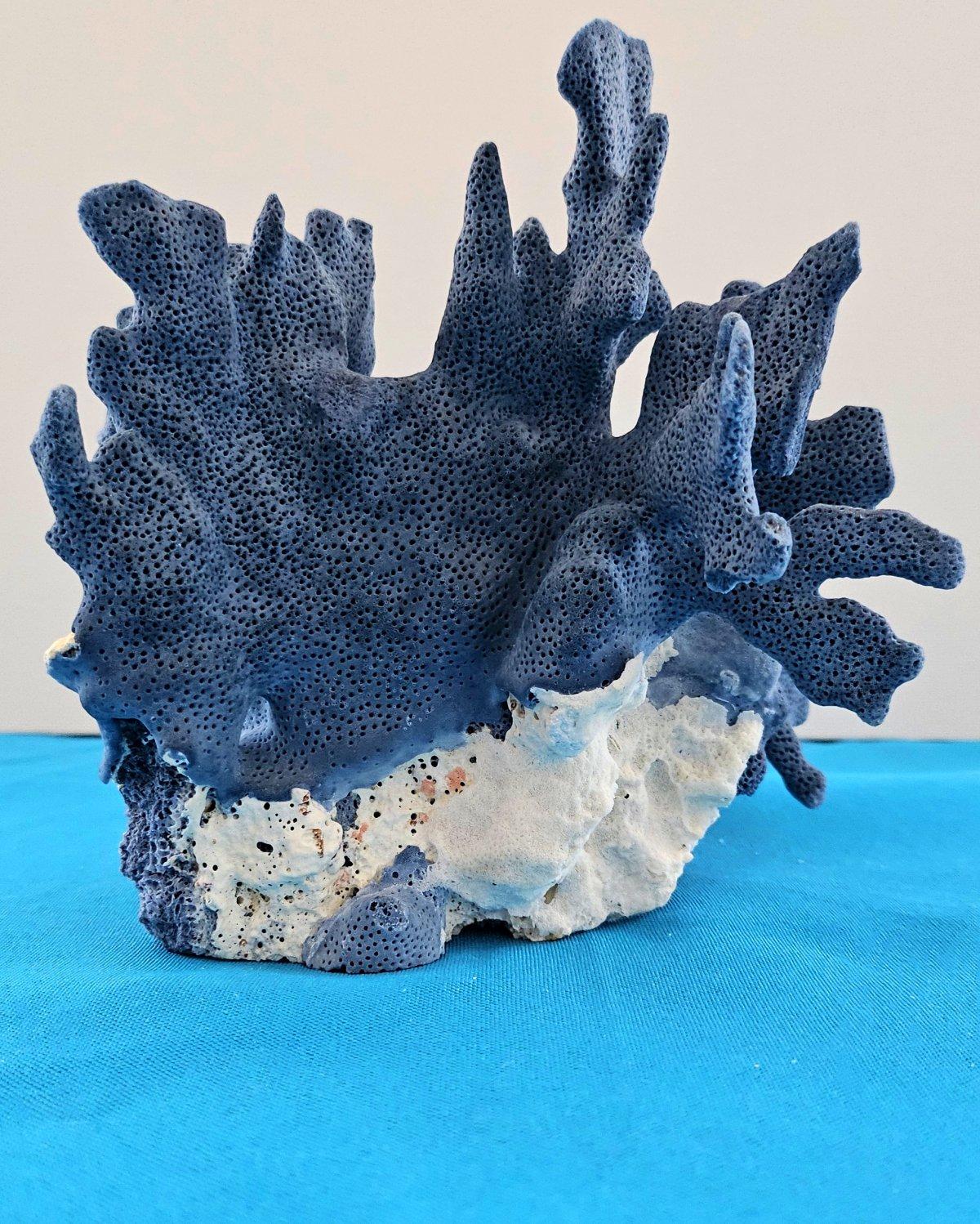 20ième siècle Spécimen naturel de corail bleu, véritable. Magnifique bleu profond avec corail naturel blanchâtre en vente