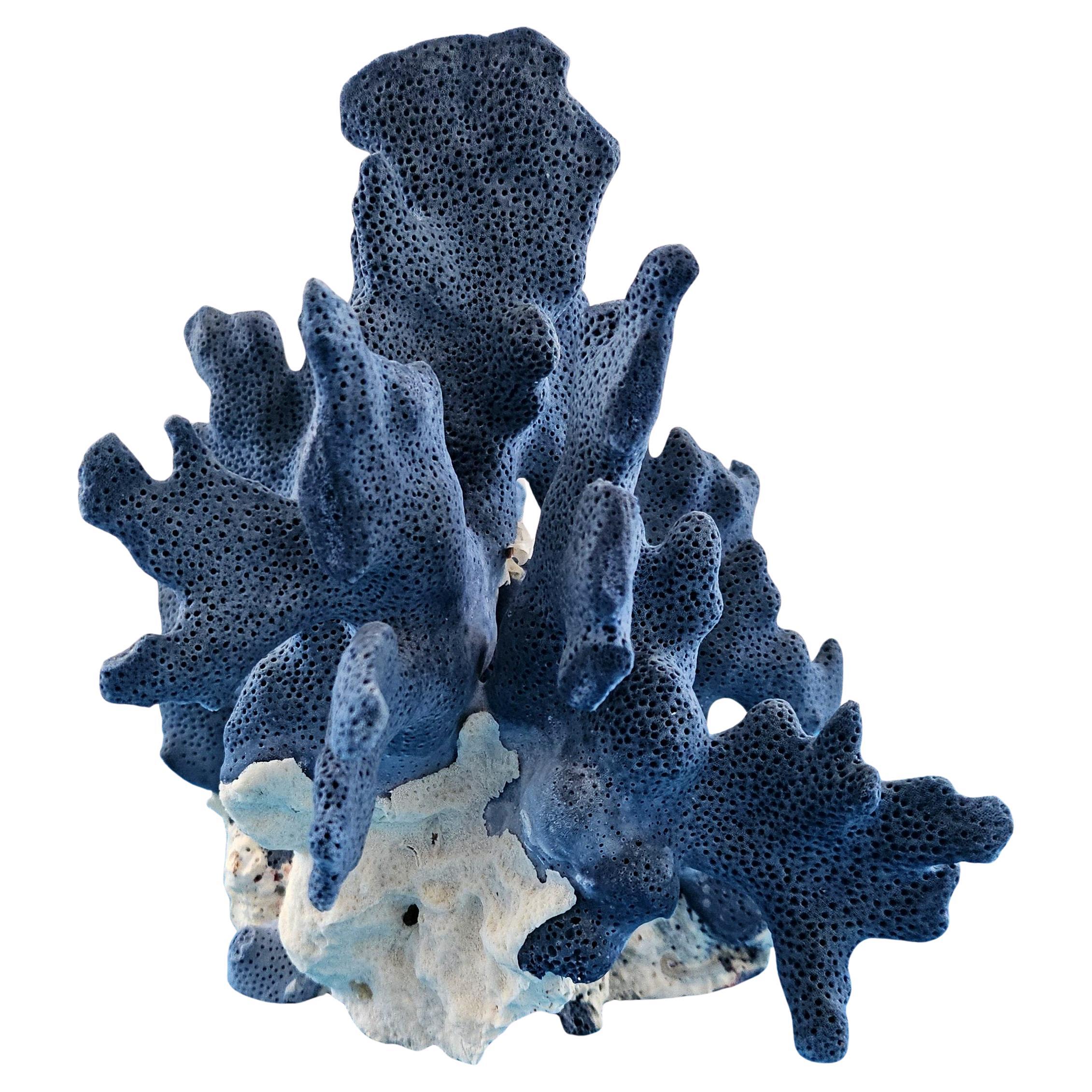 Natural Blue Coral Specimen, Real. Beautiful Deep Blue w/Whitish Natural Coral