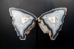 Natural Blue Lace Agate Butterfly Wings Geode on Stand