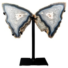 Natural Blue Lace Agate Butterfly Wings Geode on Stand