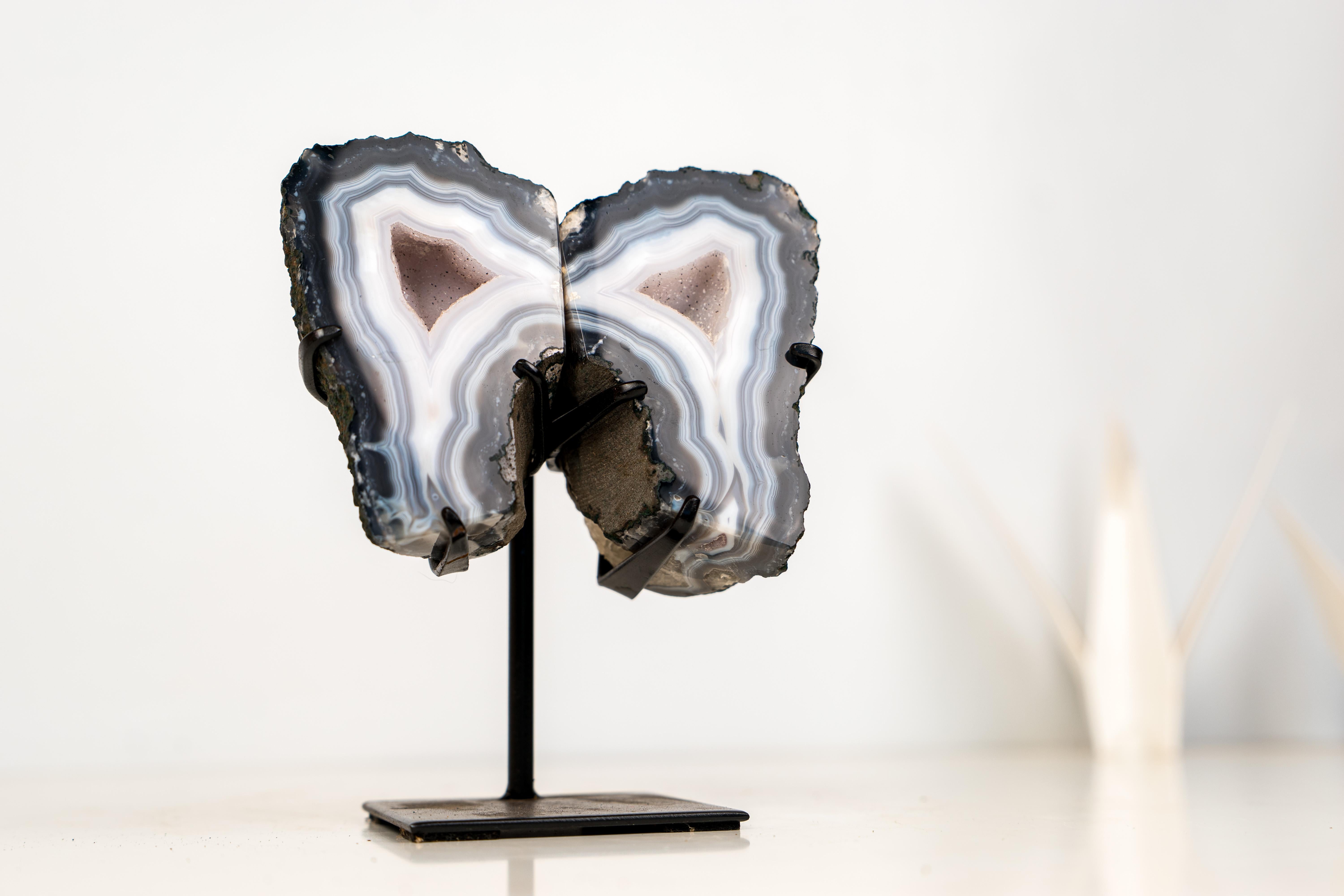 Geode farfalla di agata blu con druzy galassia bianca

▫️ Descrizione

Un affascinante piccolo geode che è stato aperto per mostrare al mondo la sua bellezza interna, questo geode di agata Wings combina agata blu di classe mondiale, druzy galassia