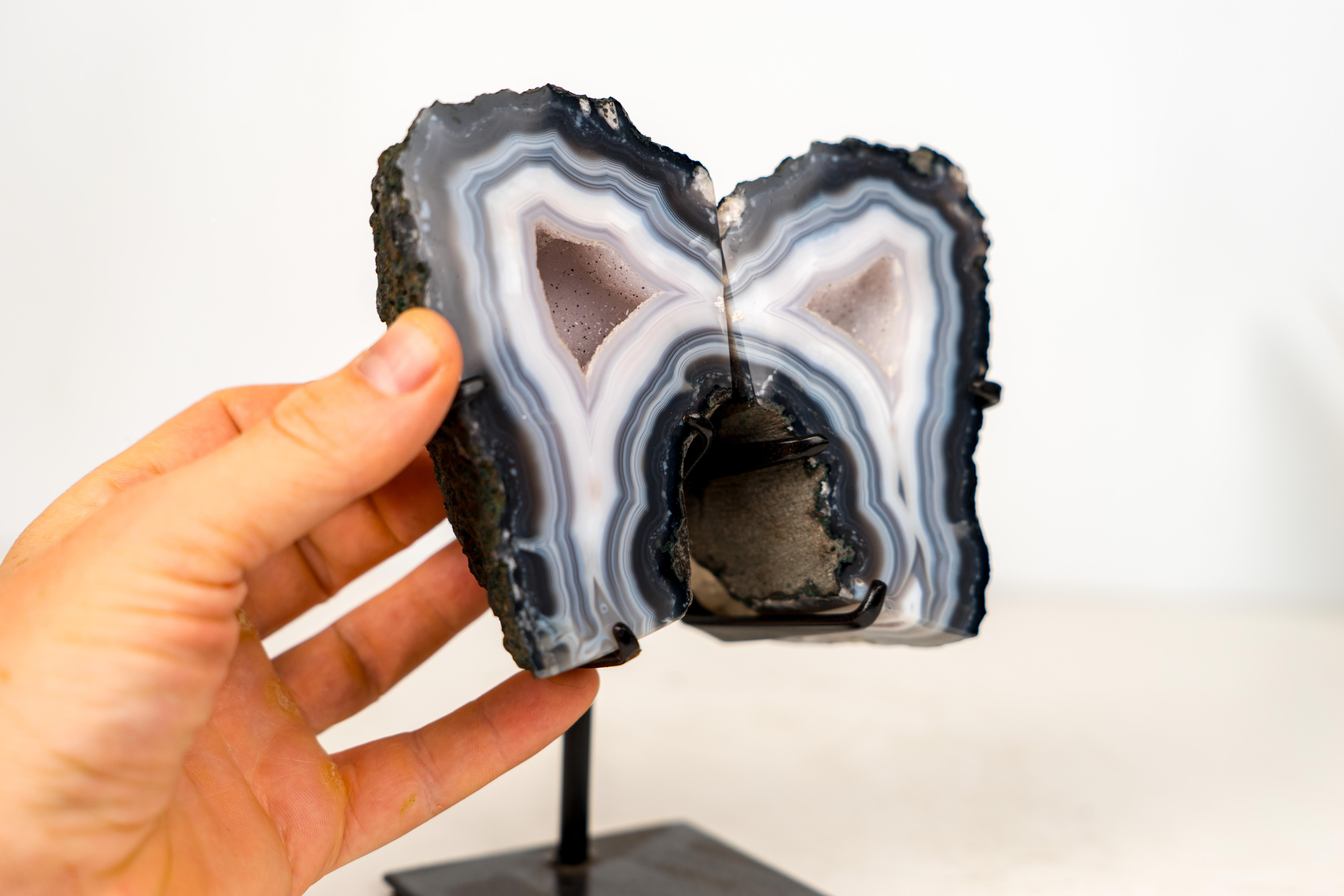 Natural Blue Lace Agate Geode Wings with White Galaxy Druzy in vendita 1