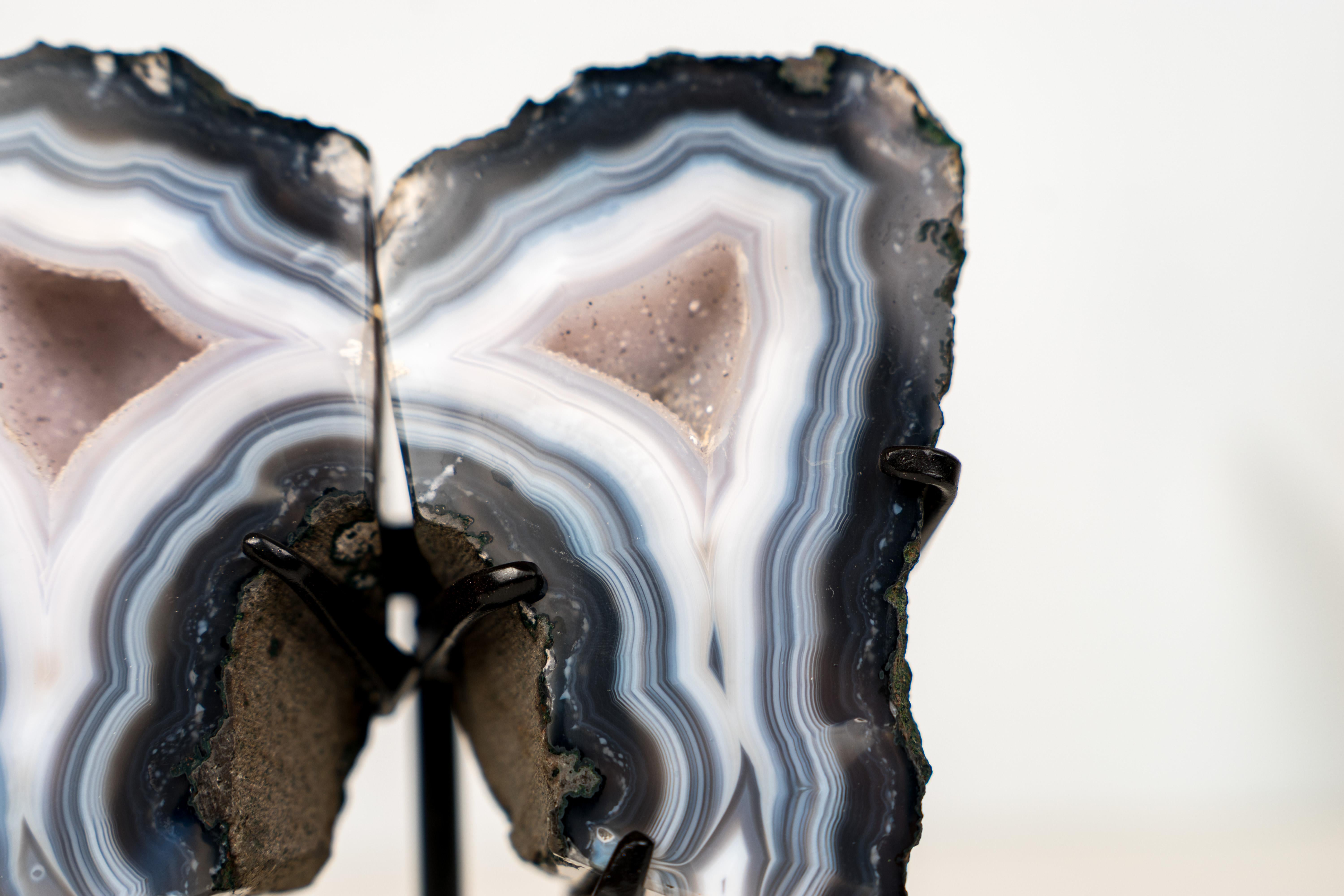 Natural Blue Lace Agate Geode Wings with White Galaxy Druzy in vendita 3
