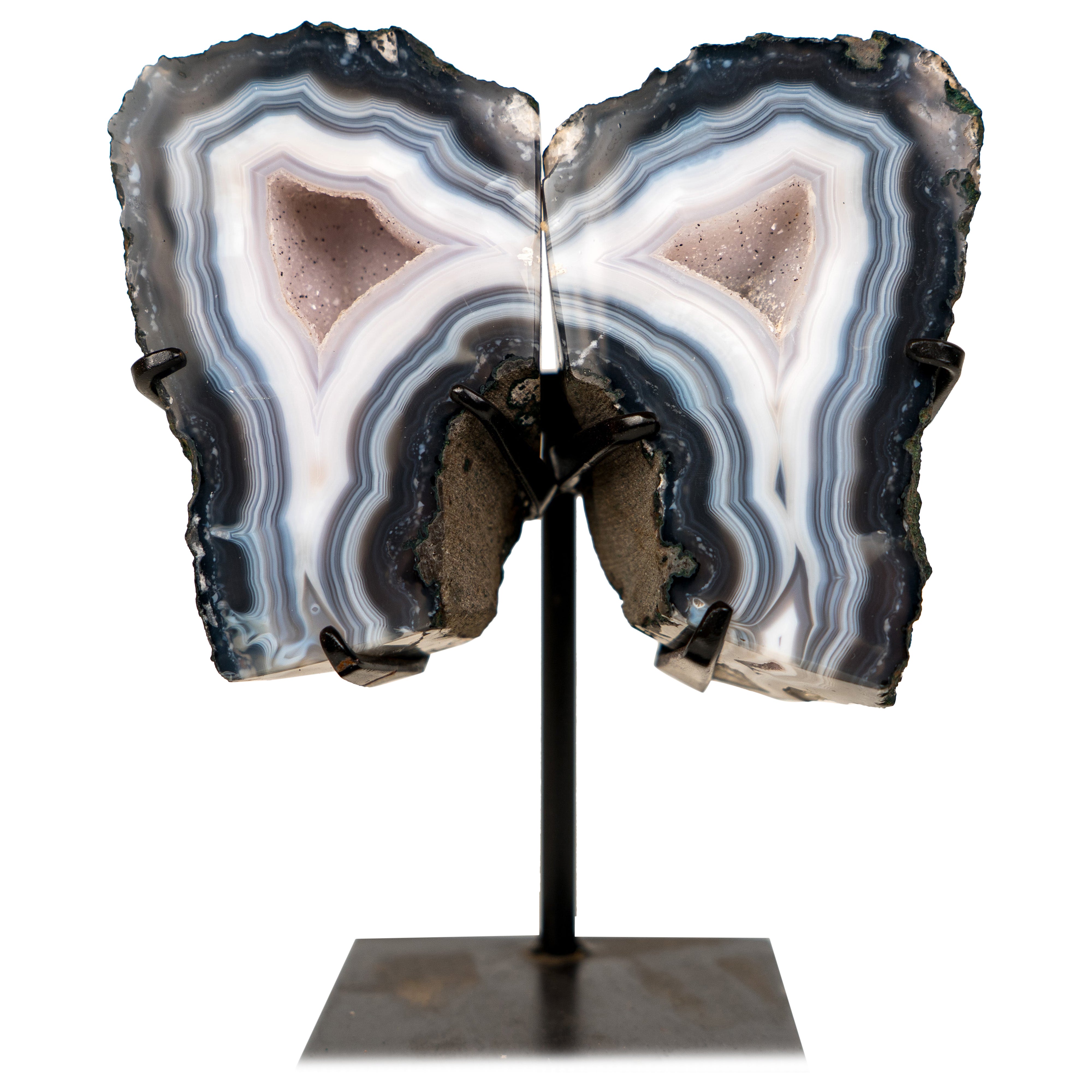 Natural Blue Lace Agate Geode Wings with White Galaxy Druzy