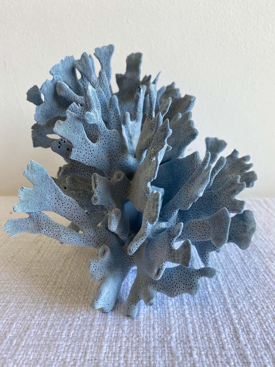 Beautiful natural colored blue coral. This coral is real, not faux, and color is natural, not dyed. Each coral varies in size/shape and is one of a kind. The coral photographed is an example of one you may receive.

approximately 7