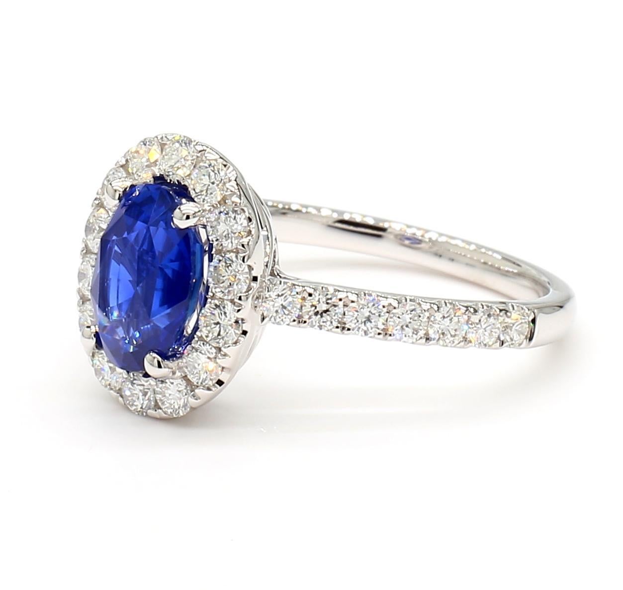 Precioso anillo de zafiro de RareGemWorld. Montada en un precioso engaste de oro blanco de 18 quilates con un zafiro azul natural de talla oval. El zafiro está rodeado de melee de diamantes blancos redondos naturales. Este anillo impresionará y