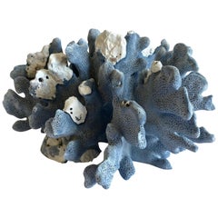 Natural Blue Real Coral