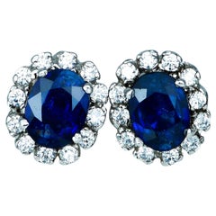 Natural Blue Sapphire Earrings