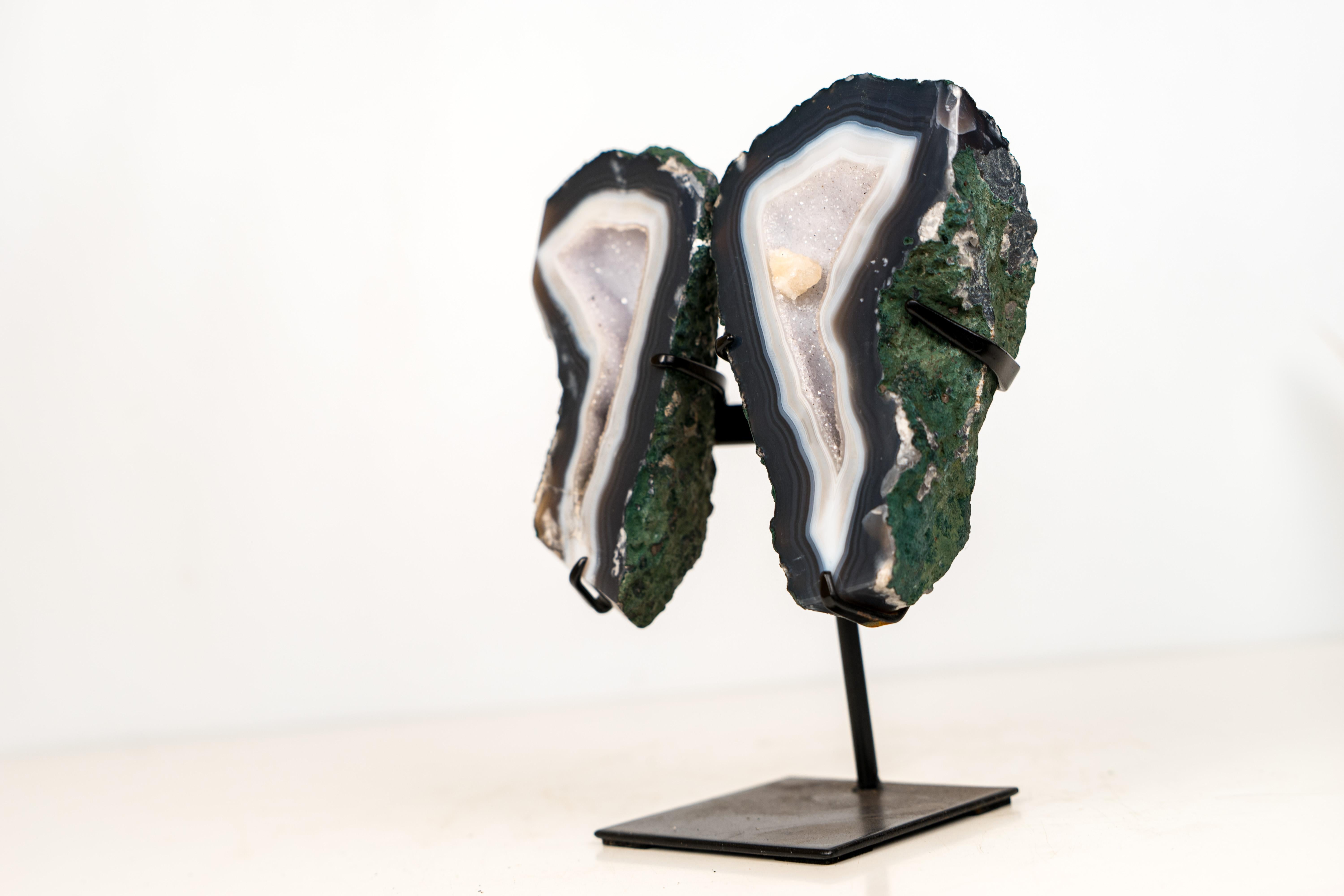 Geode farfalla di agata blu con druzy galassia bianca

▫️ Descrizione

Un affascinante piccolo geode che è stato aperto per mostrare al mondo la sua bellezza interna, questo geode di agata Whiting combina agata blu e bianca, druzy galassia e