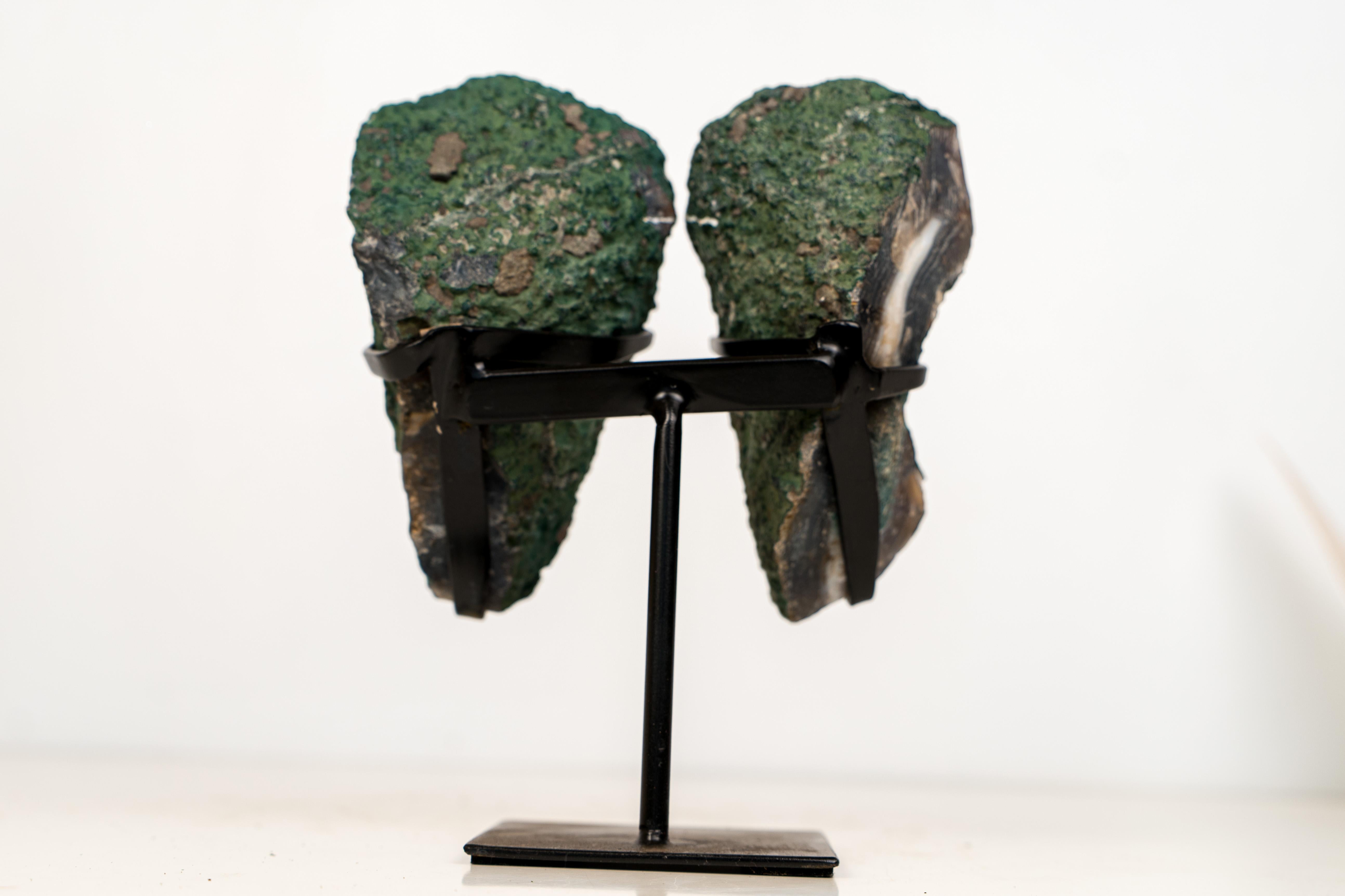 Natural Blue & White Lace Agate Geode Wings with White Galaxy Druzy in vendita 2