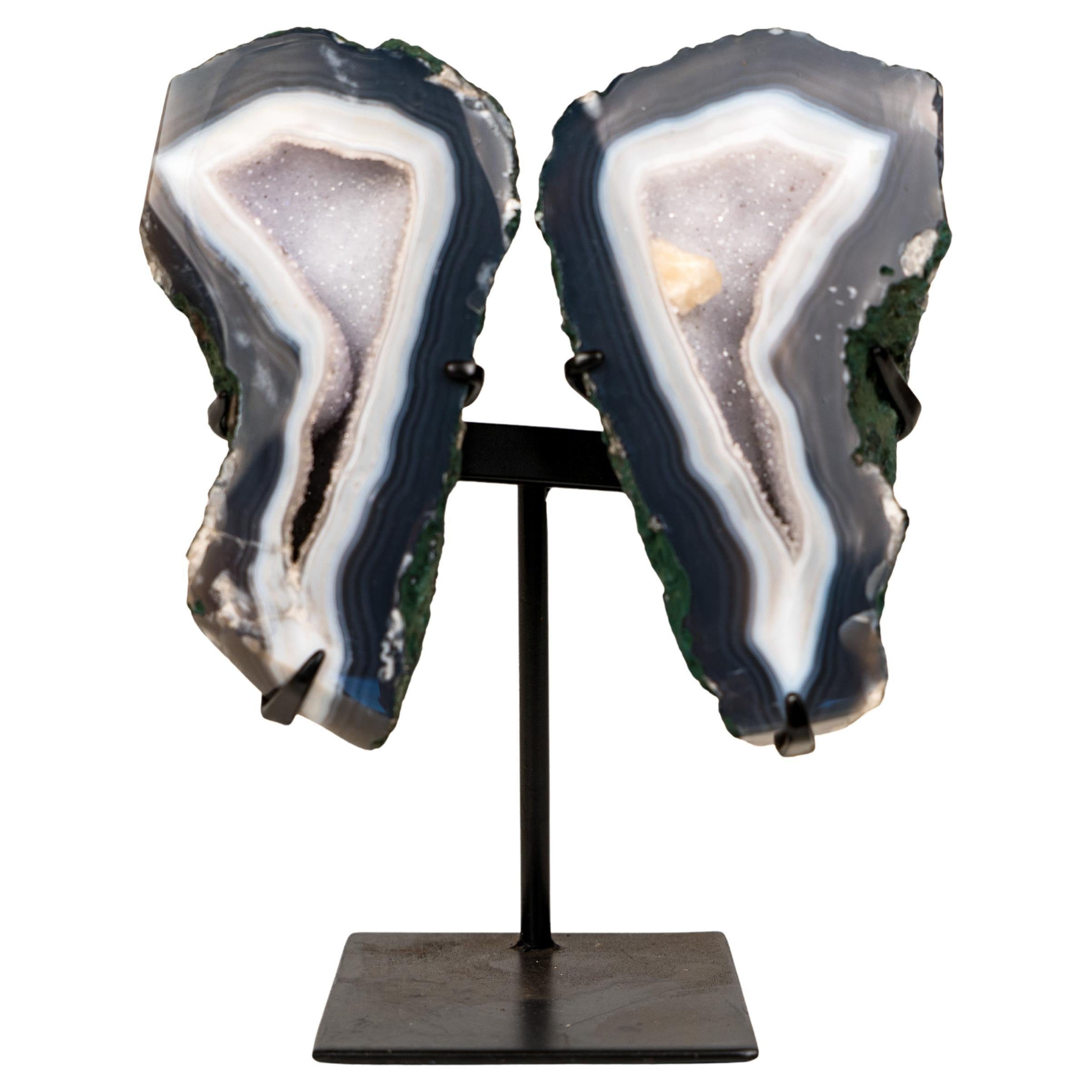 Natural Blue
White Lace Agate Geode Wings with White Galaxy Druzy