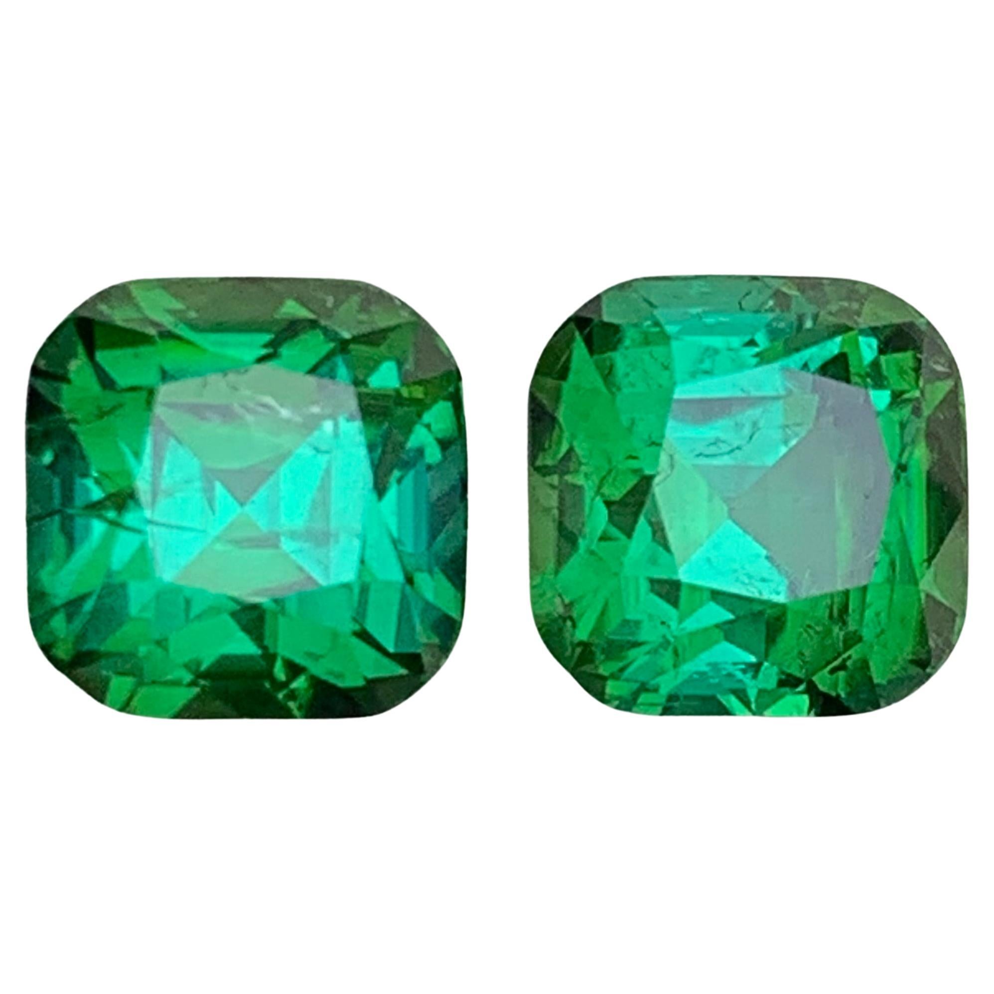 Nature Greene
Greene Greene Tourmaline 4.59 Carat Cushion Cut Loose Gemstones Pair