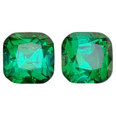 Nature Greene 
Greene Greene Tourmaline 4.59 Carat Cushion Cut Loose Gemstones Pair