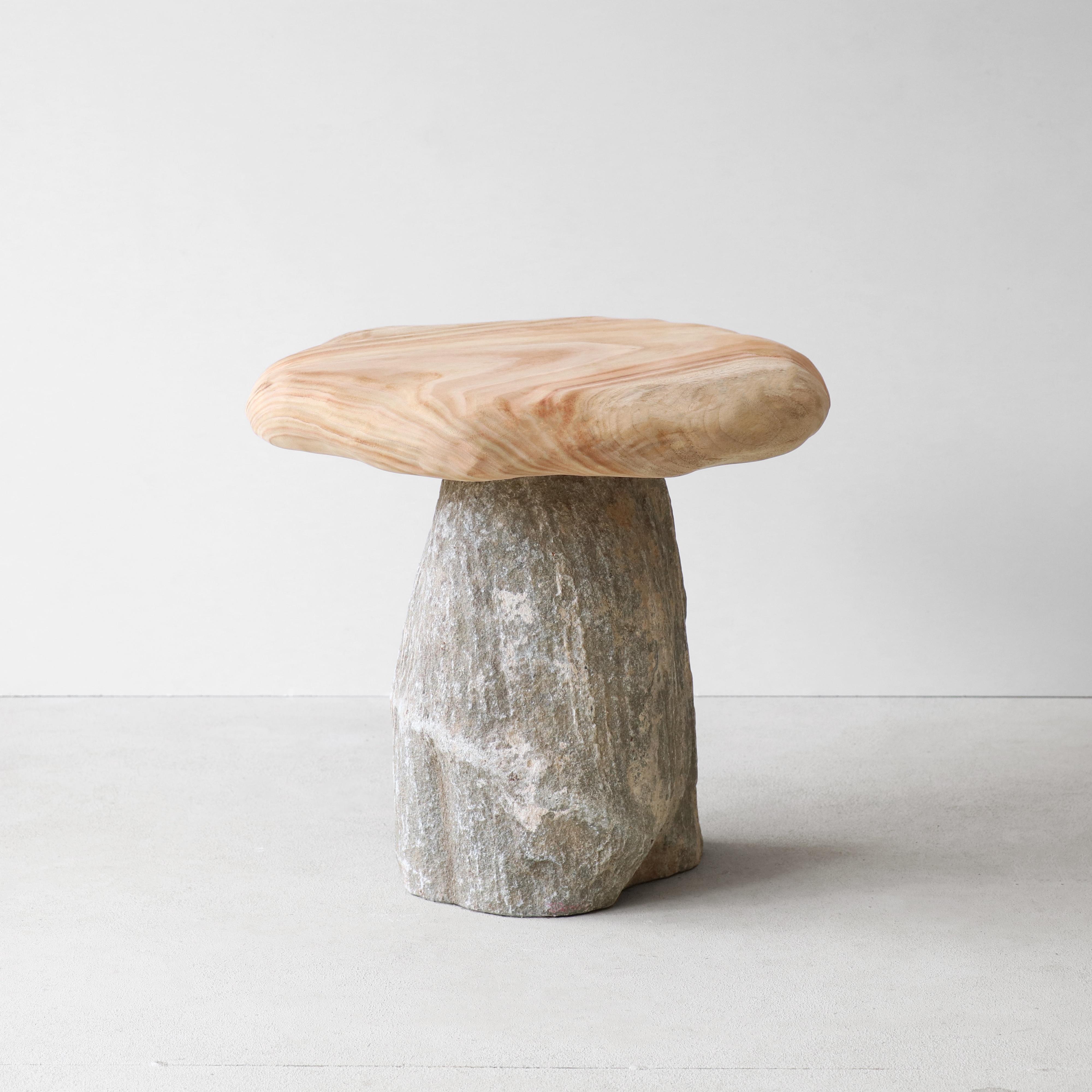 Granite Natural Bolete Side Table by Henry D'ath For Sale