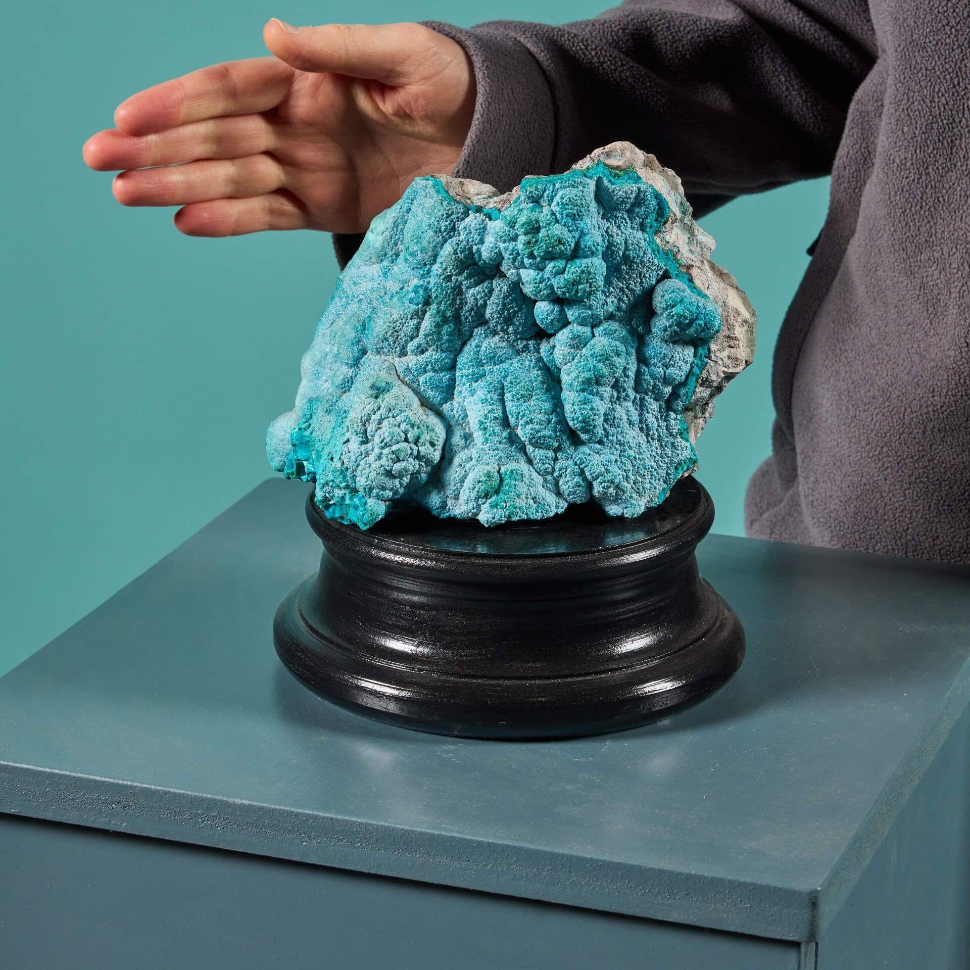 A naturally occurring blue-green botryoidal chrysocolla mineral specimen, originating from Kalukuluku in Congo and presented on one of our exclusive painted plaster display plinths. Defined by its vibrant colour, chrysocolla forms as crusts where