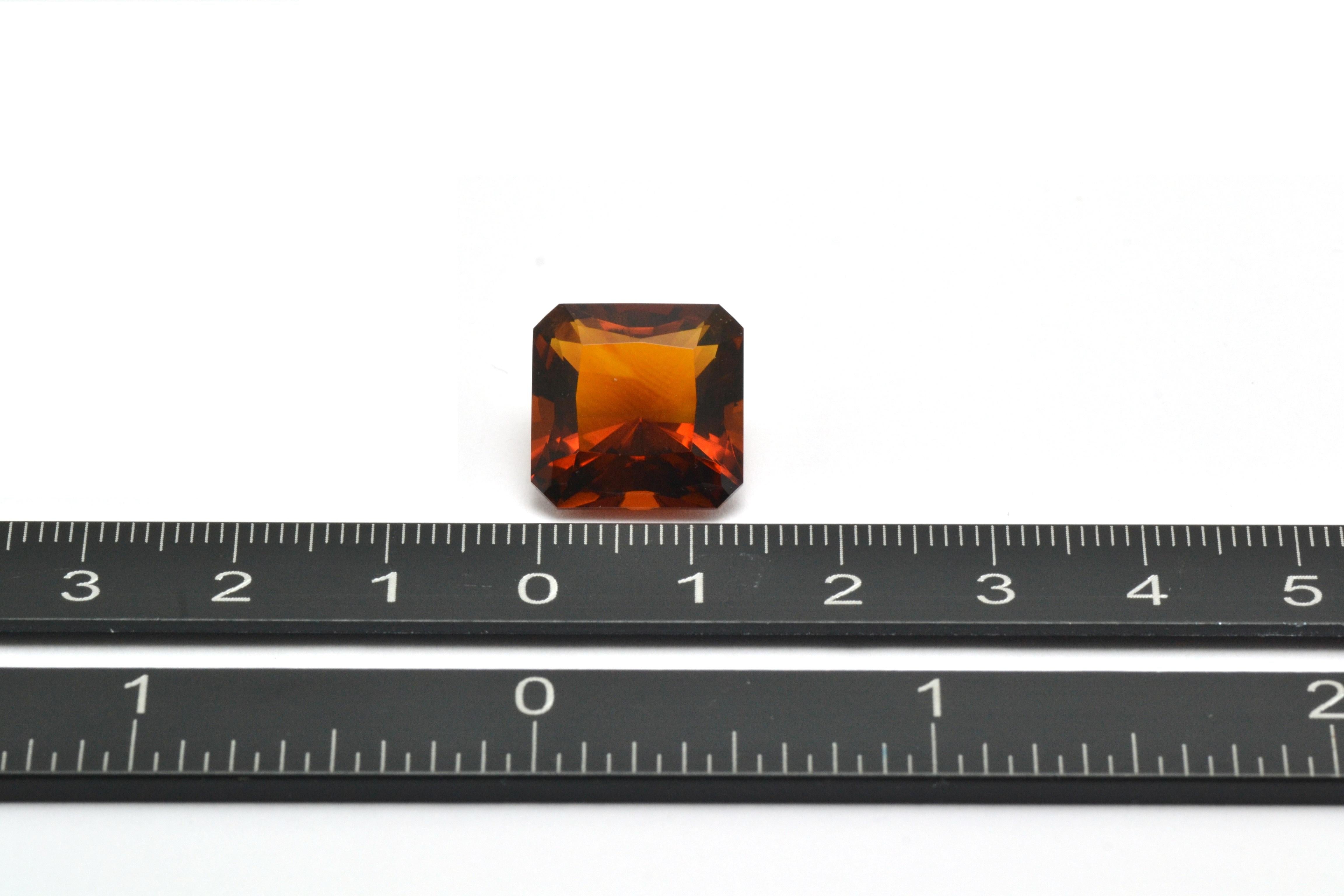 Gem libre brésilien taille octogonale de 11,35 carats de quartz citrine en vente 1