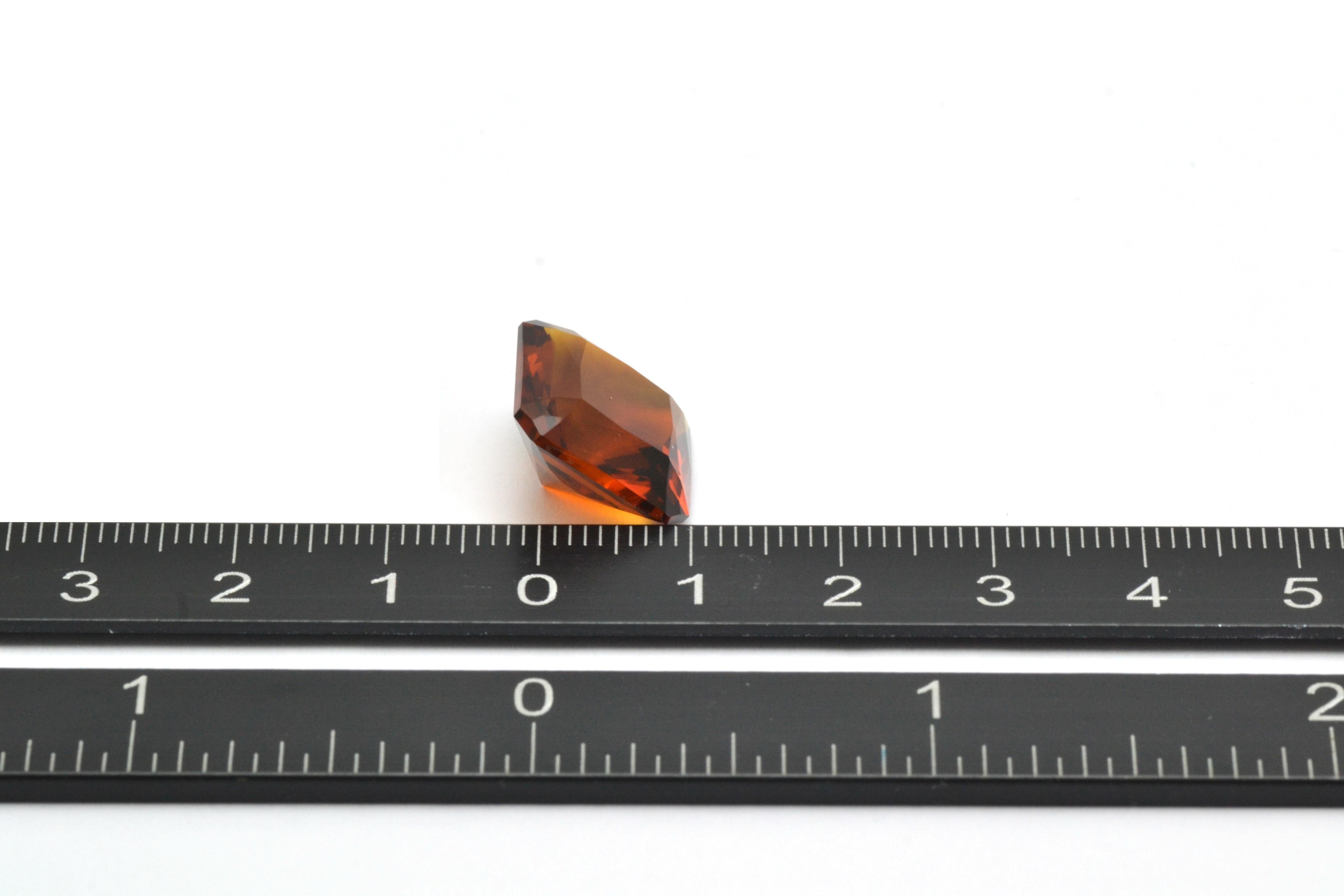 Gem libre brésilien taille octogonale de 11,35 carats de quartz citrine en vente 2
