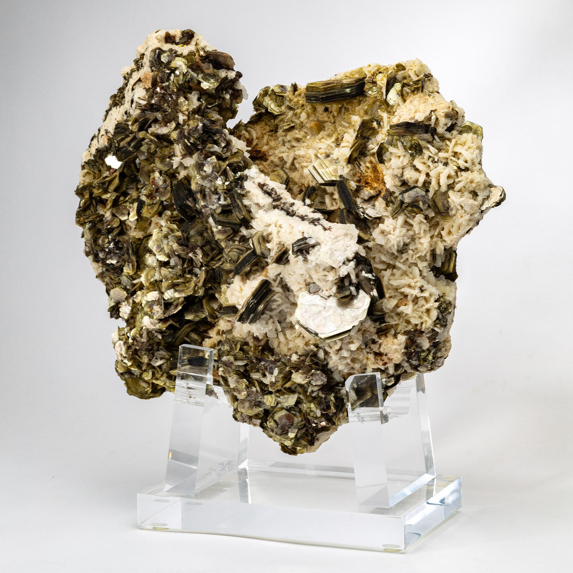 Muskovit- und Albit-Cluster auf individuellem Acrylsockel
Herkunft: Minas Gerais, Brasilien

Dieses elegante Exemplar zeichnet sich durch eine auffällige Ansammlung von silbrigen Muskovitkristallen aus, die mit glänzendem weißem Albit verwachsen
