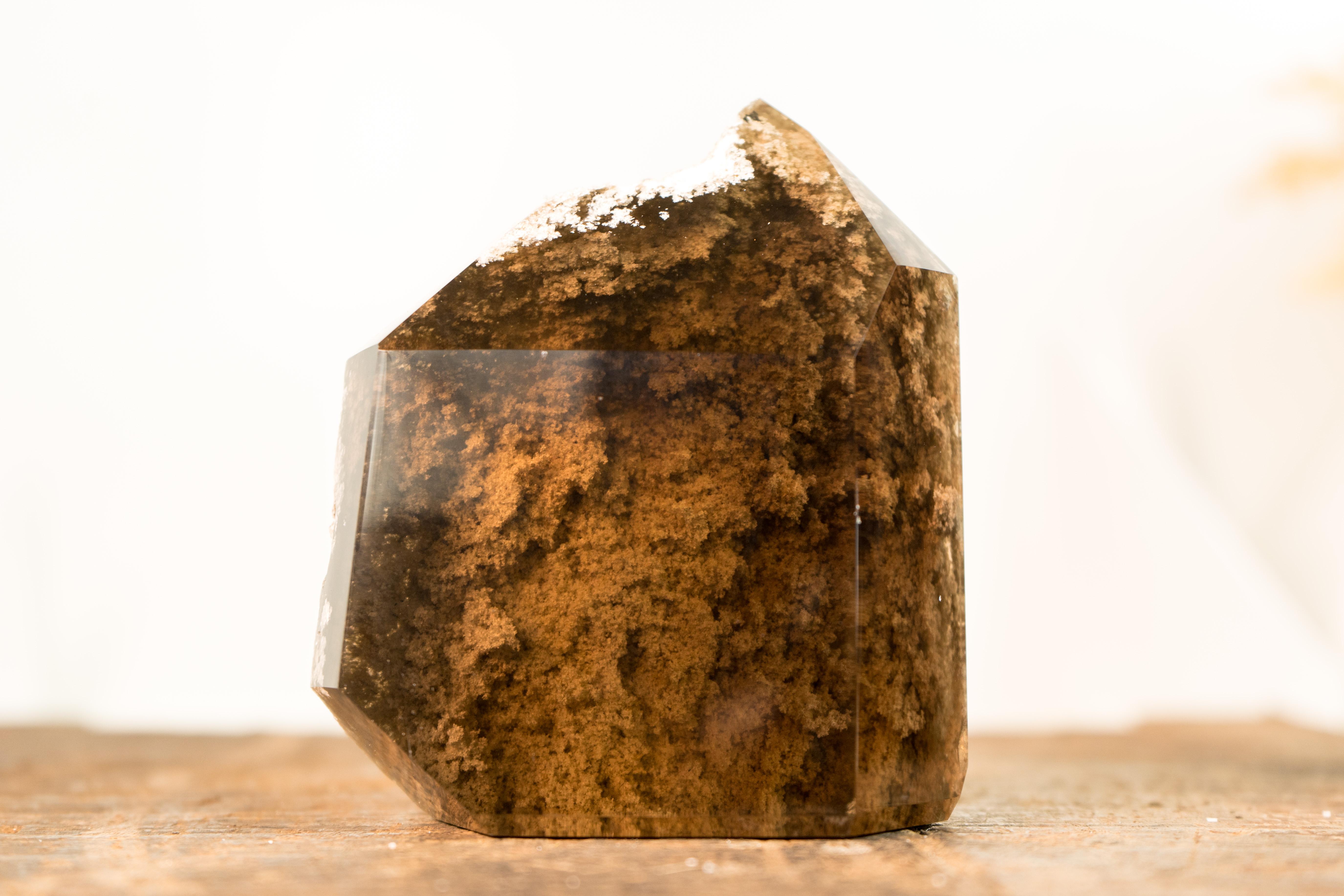 A play of contrasts: the old and the new, the raw and the polished. This Bronze Smoky Quartz offers a window to the past, encapsulating a landscape within a crystal, where the landscaped garden quartz can be fully appreciated through a window of