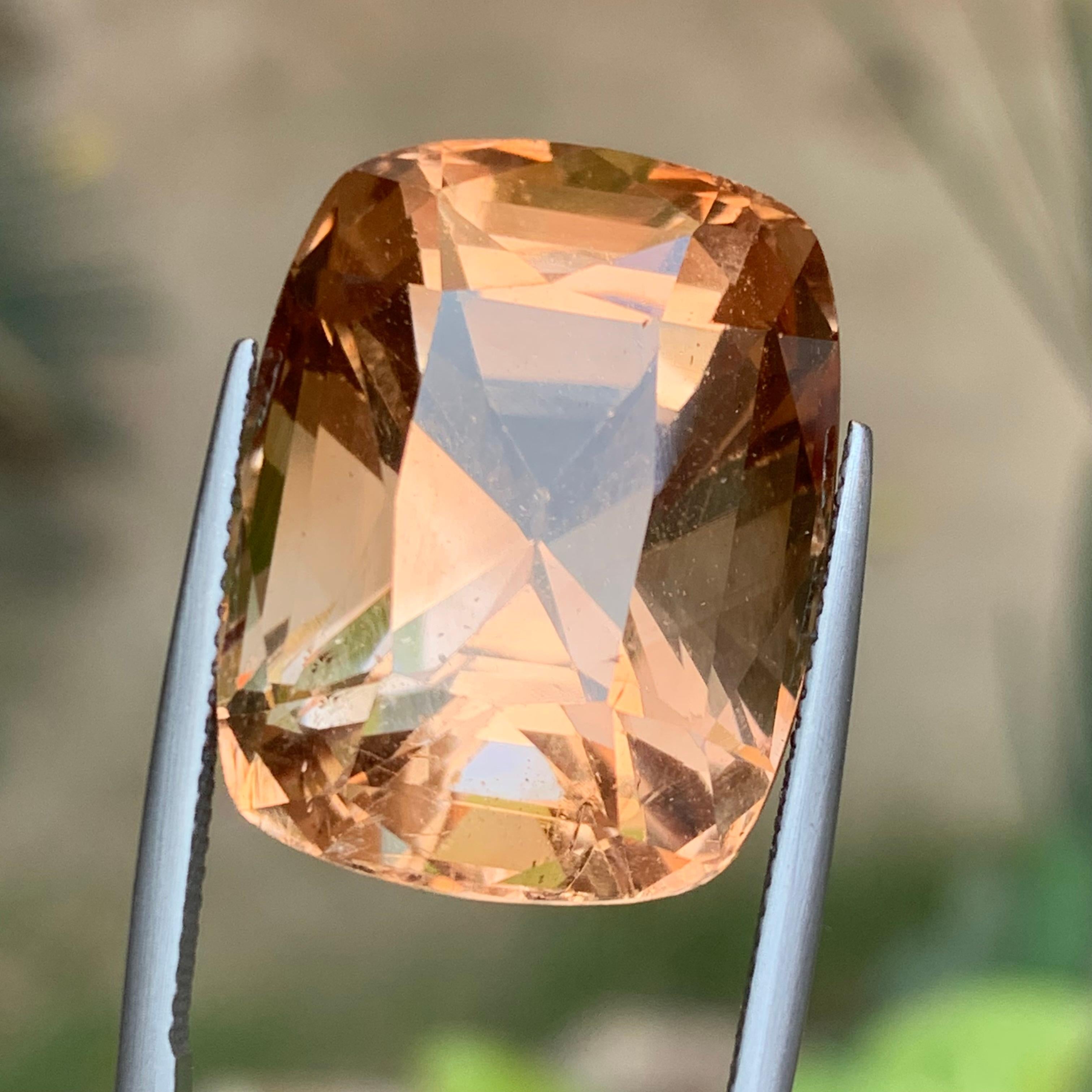 Topazio marrone naturale da 54,56 carati con taglio a cuscino - enorme pietra da collezione A. Stone in vendita 6