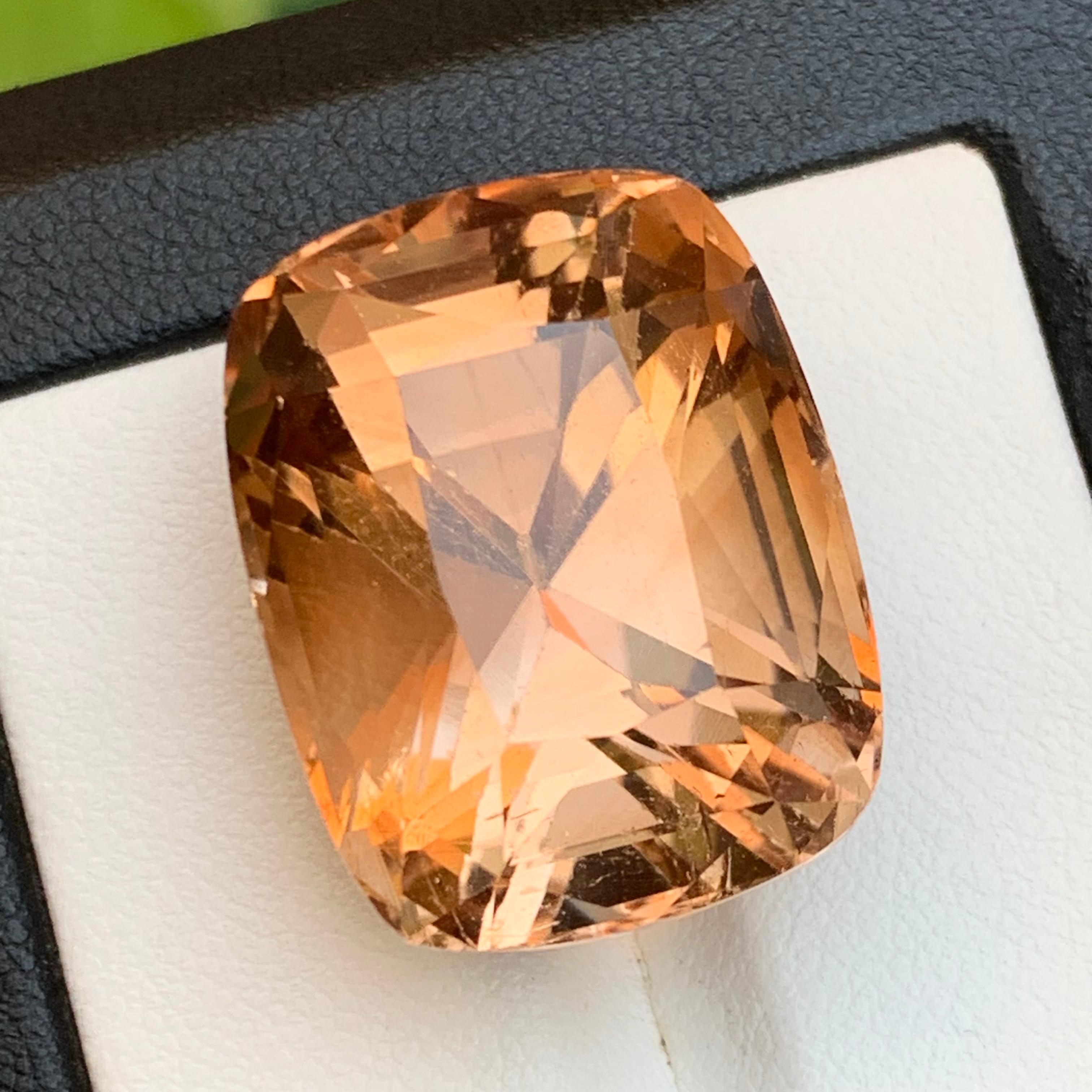 Topazio marrone naturale da 54,56 carati con taglio a cuscino - enorme pietra da collezione A. Stone in vendita 7