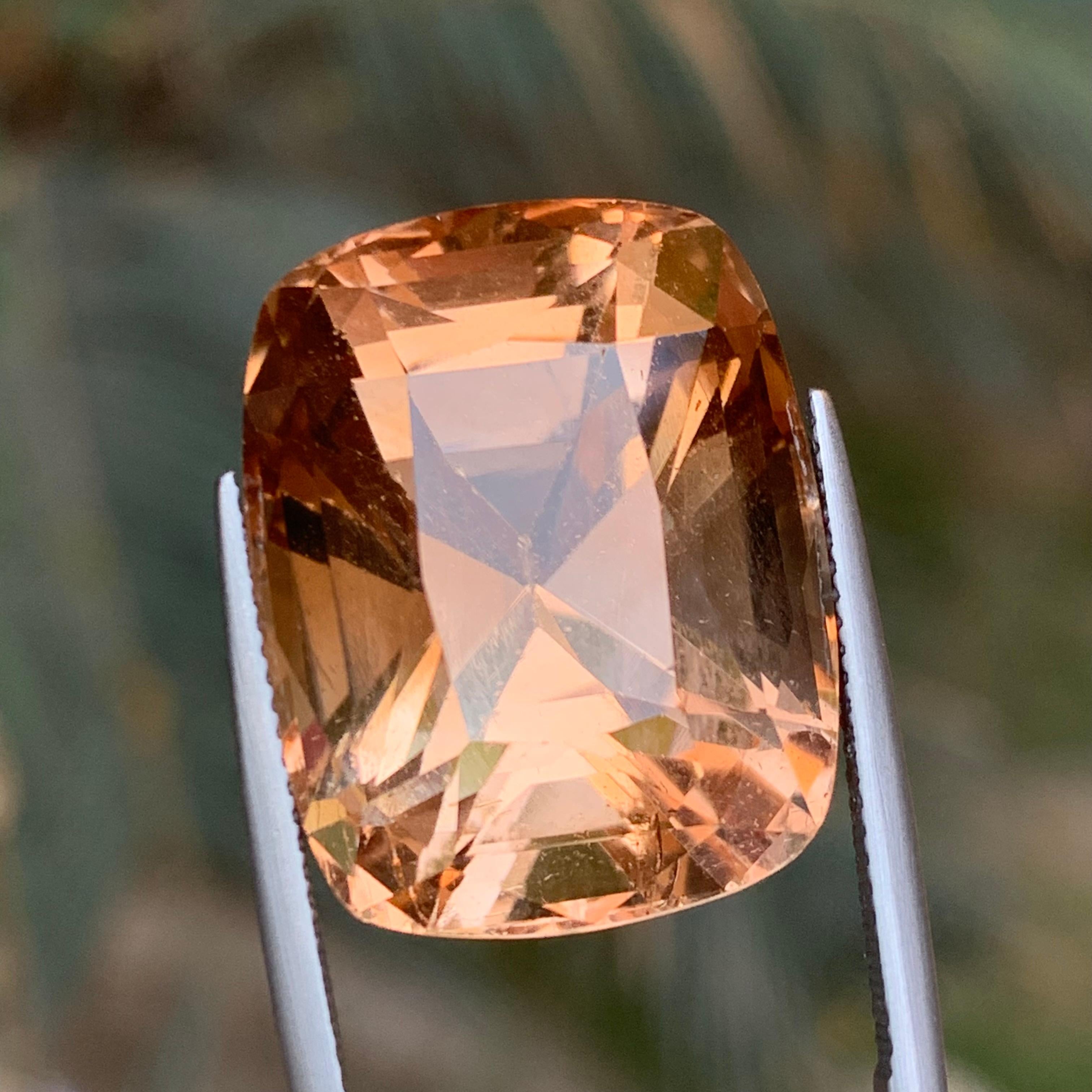 Topazio marrone naturale da 54,56 carati con taglio a cuscino - enorme pietra da collezione A. Stone in vendita 1