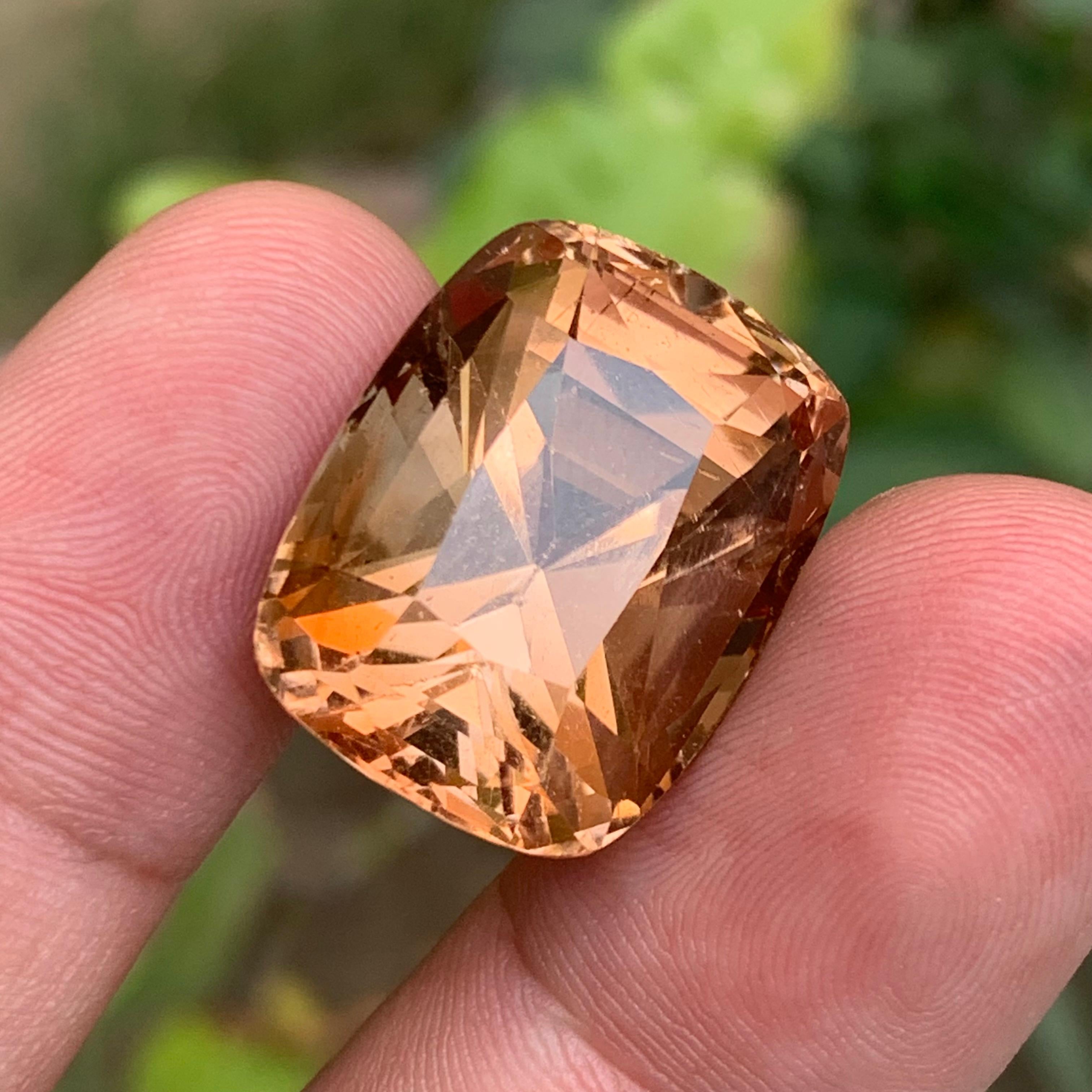 Topazio marrone naturale da 54,56 carati con taglio a cuscino - enorme pietra da collezione A. Stone in vendita 3