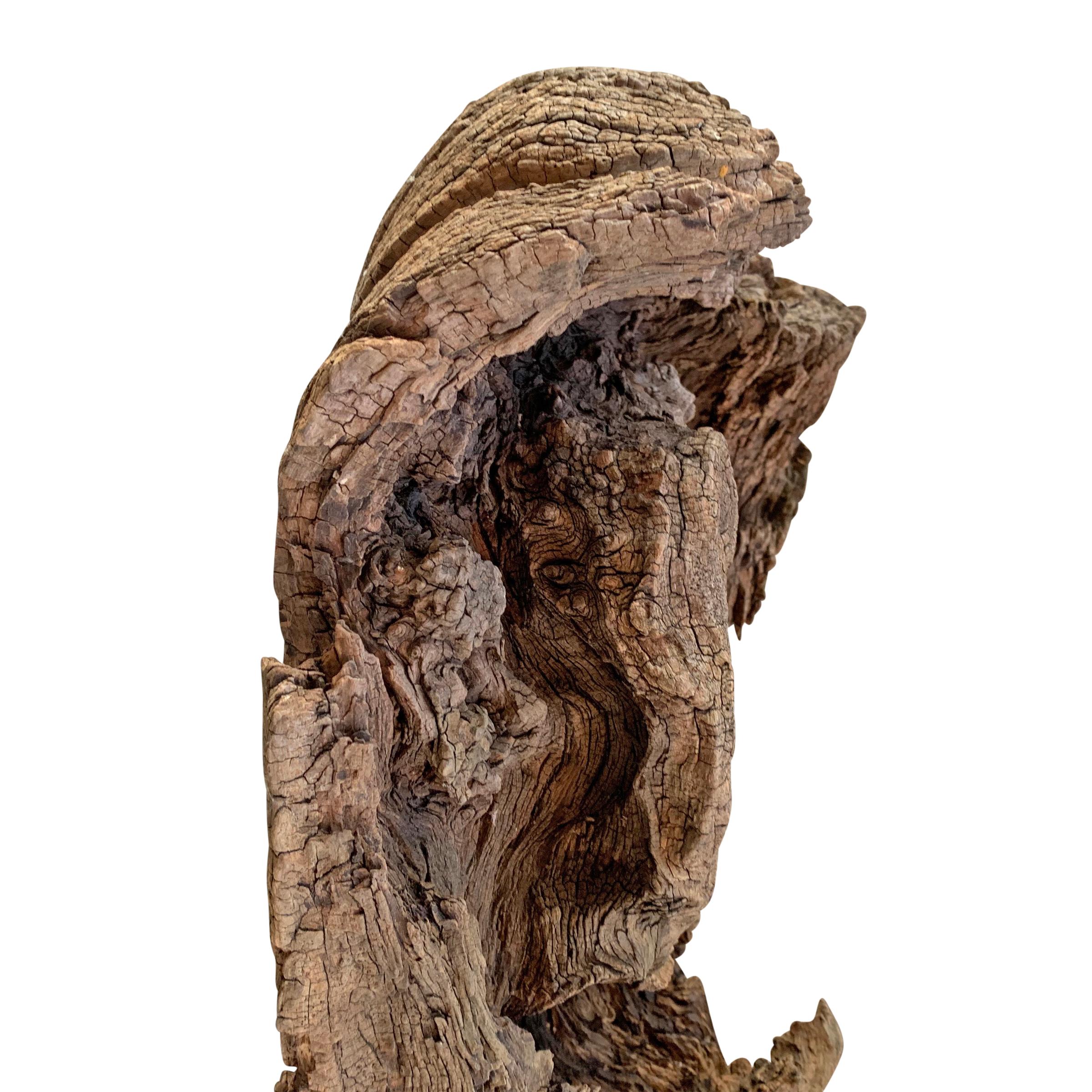 Natural Burl Wood Forest Spirit 4