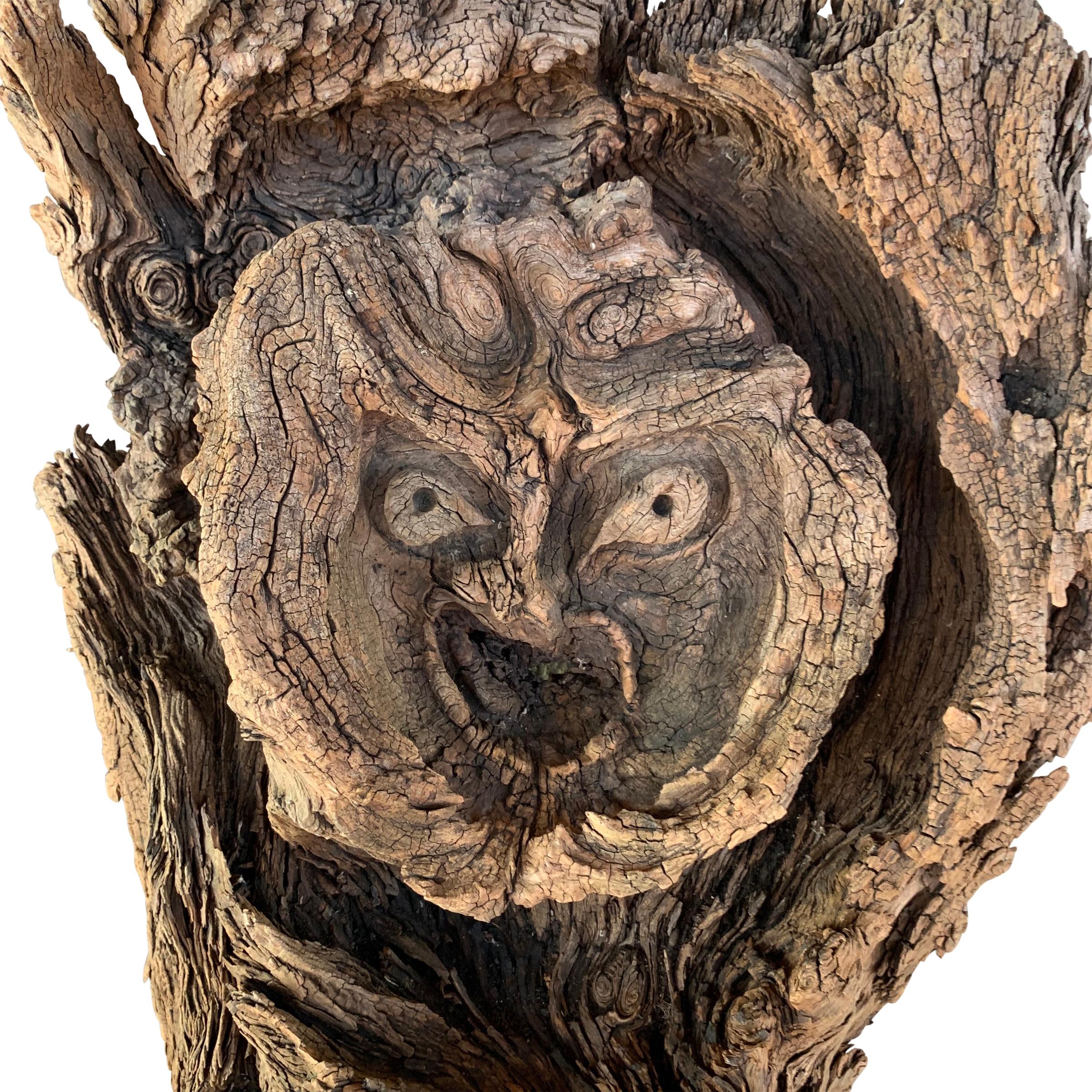 A incredibly enchanting natural burl wood forest spirit on custom wall mount. The eyes and nose have been enhanced minimally by carving, but the rest of the piece is a naturally occurring burl. We stumbled upon this piece leaning against the back of