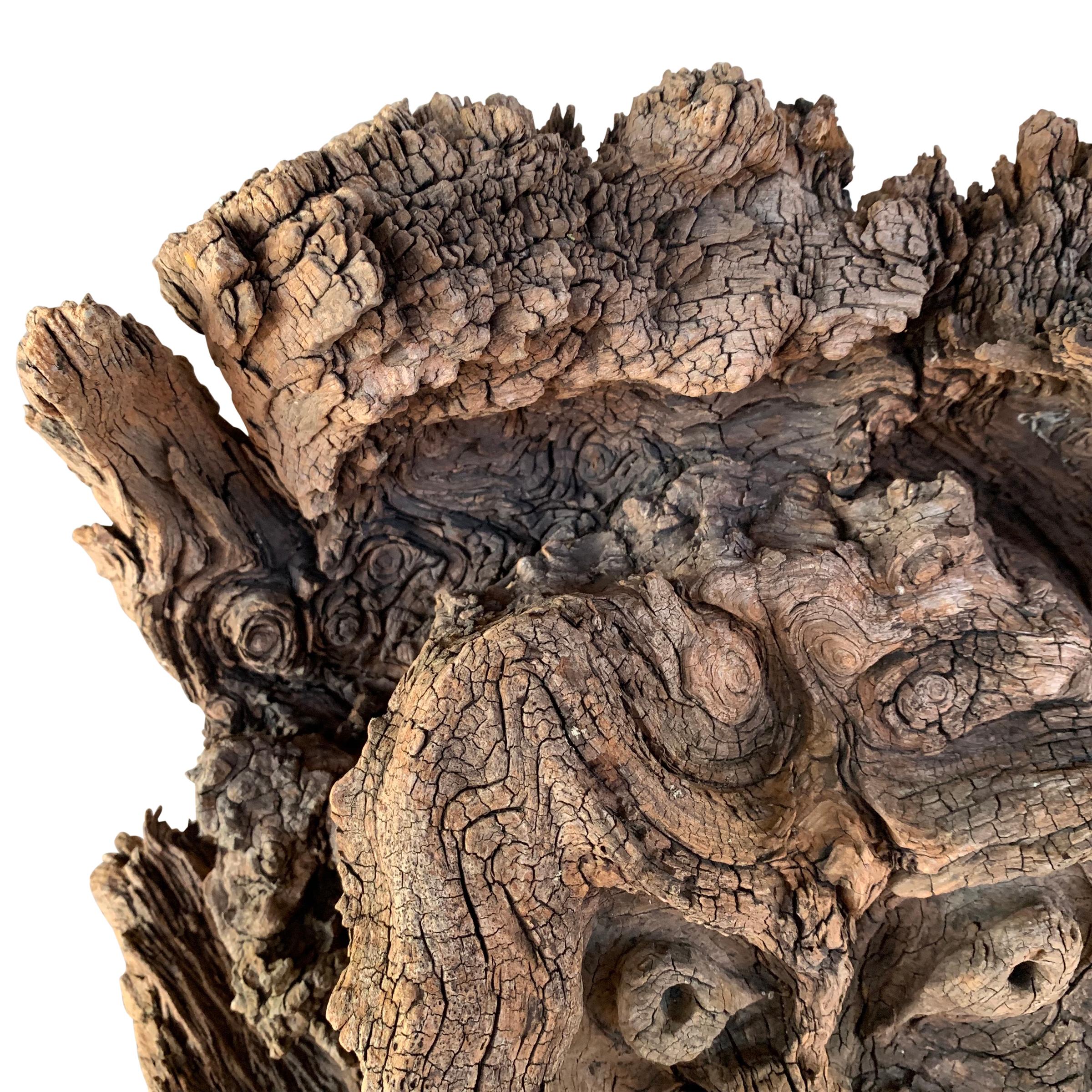 Folk Art Natural Burl Wood Forest Spirit