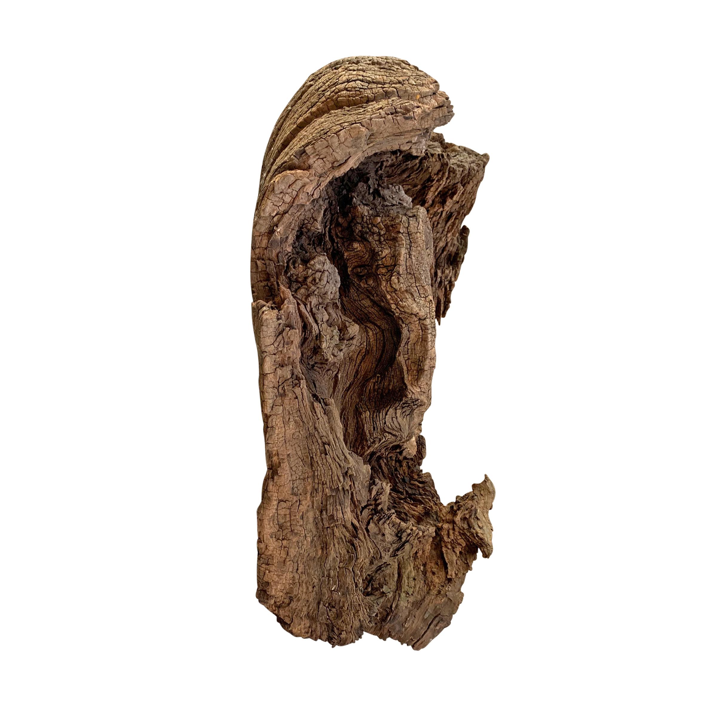 Natural Burl Wood Forest Spirit 1