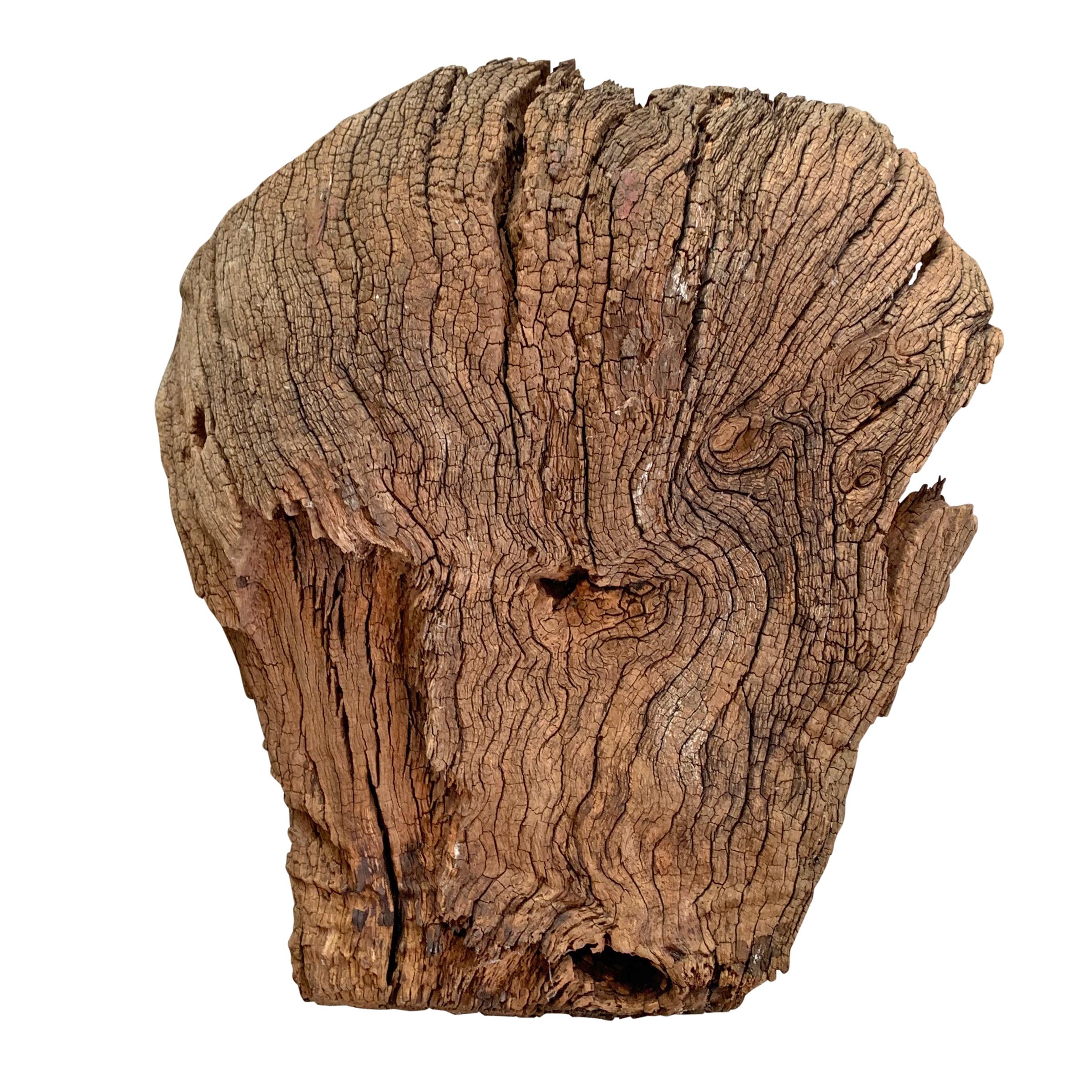 Natural Burl Wood Forest Spirit 3