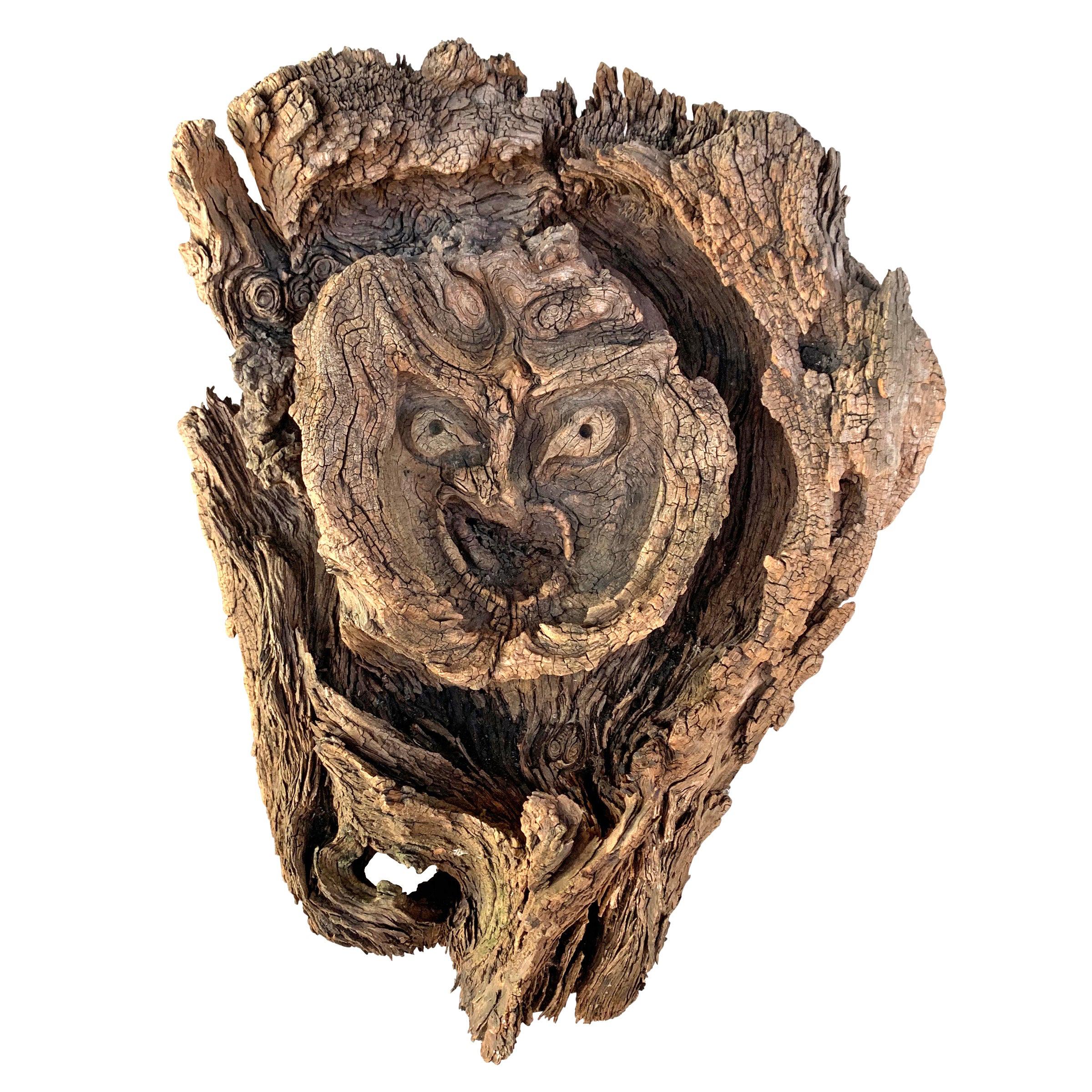 Natural Burl Wood Forest Spirit