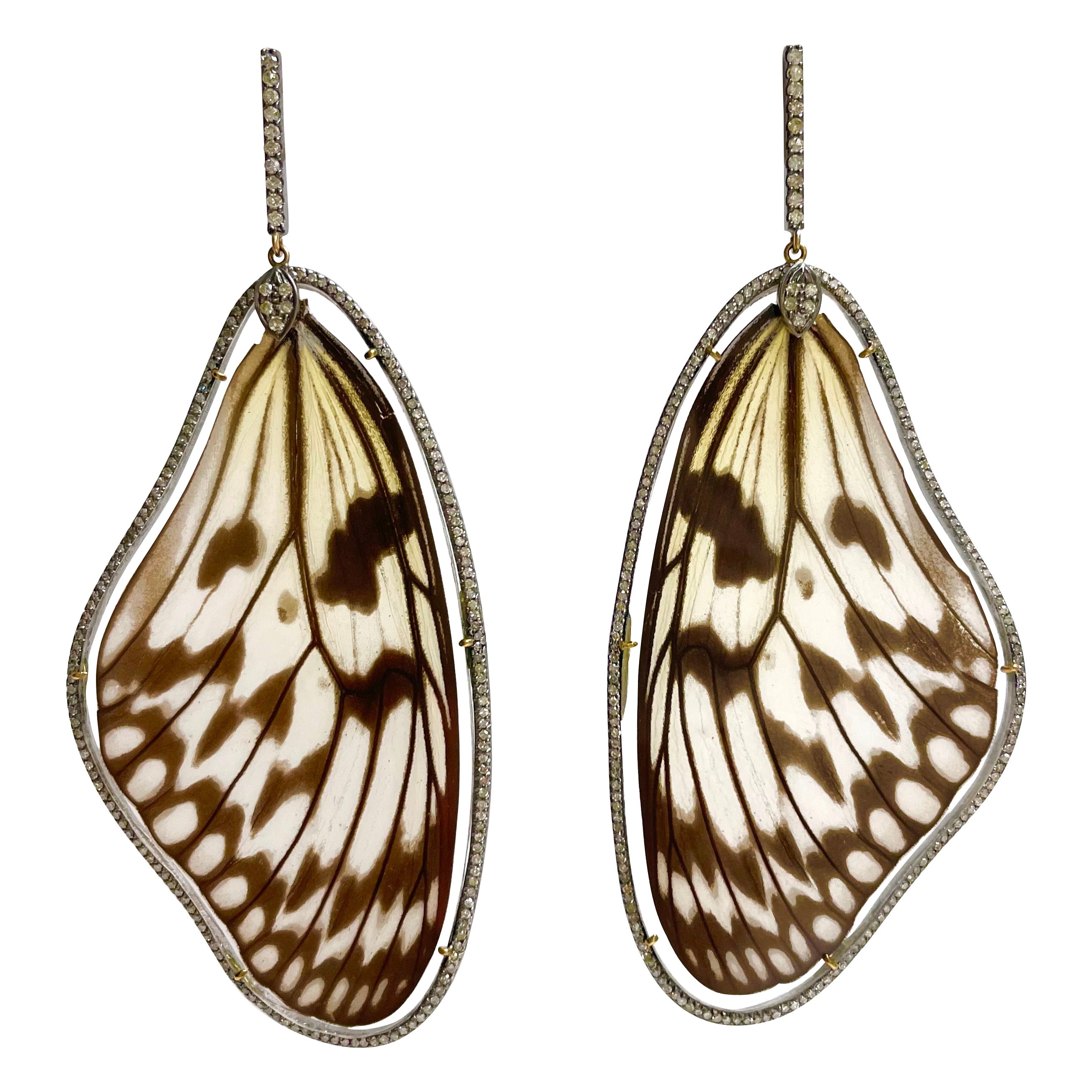 Paradizia-Ohrringe mit natürlichen Schmetterlings Flügeln und Diamanten im Angebot