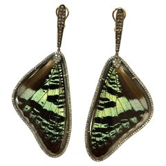 Boucles d'oreilles ailes de papillon naturelles avec diamants pavés