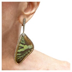 Ohrringe mit natürlichen Schmetterlings Flügeln und Pavé-Diamanten