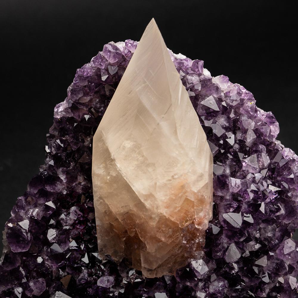 Perfect gem-quality large golden yellow scalenohedral crystal of Calcite centered on matrix lined with grape purple translucent to transparent top-quality Uruguayan Amethyst. This piece is in supreme condition and is a top collectable specimen.

