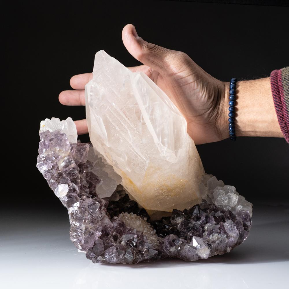 From San Eugenio, Artigas Dept., Uruguay

Large 7'' scalenohedral crystal of calcite on amethyst matrix accented by isolated cluster of colorless quartz. The calcite crystal shows fully terminated faces composed of small micro etched faces, with a