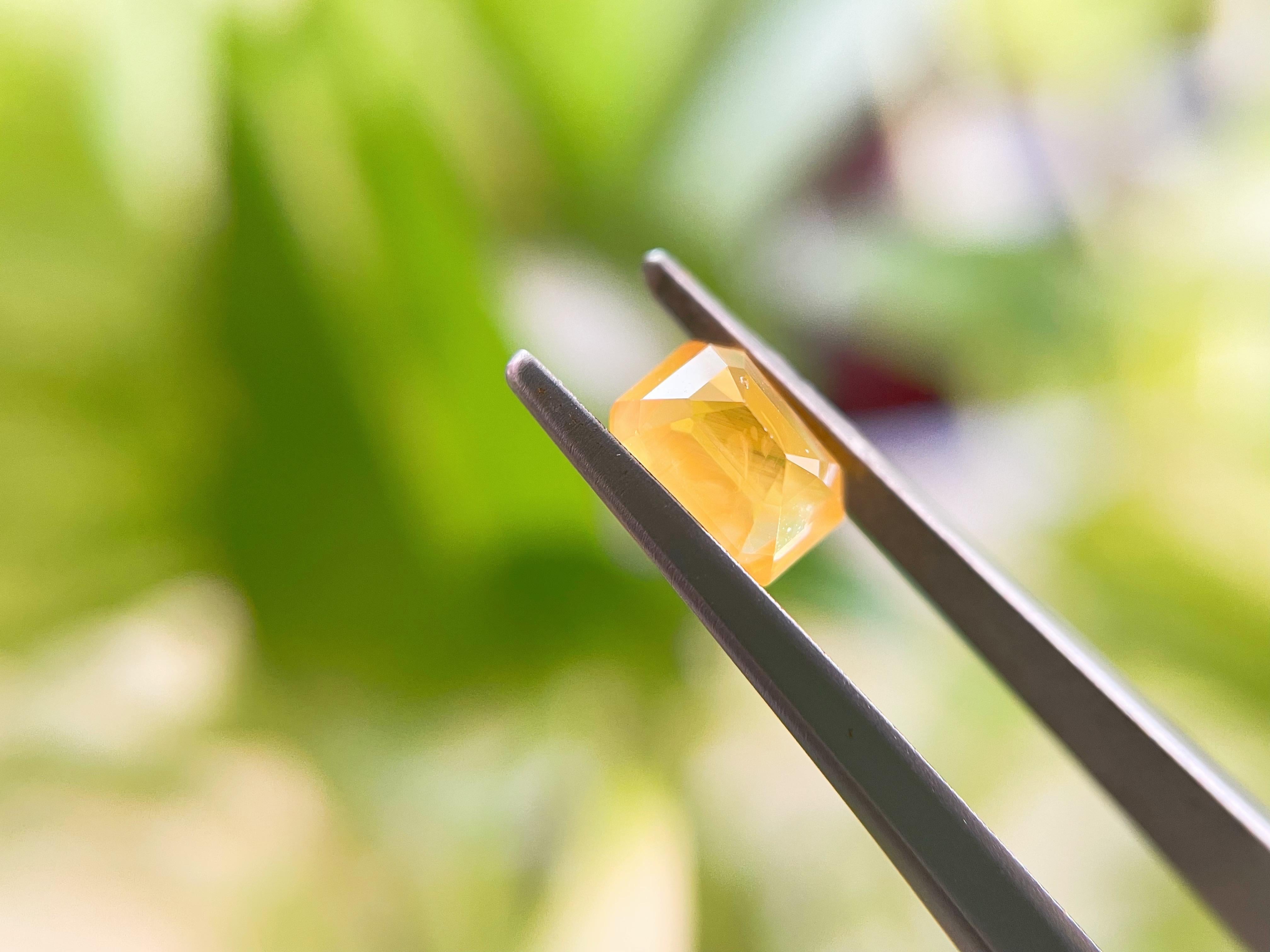 Natural Canary Yellow Sapphire, Loose Gemstone for Jewelry Making, 1.34 Ct in vendita 13