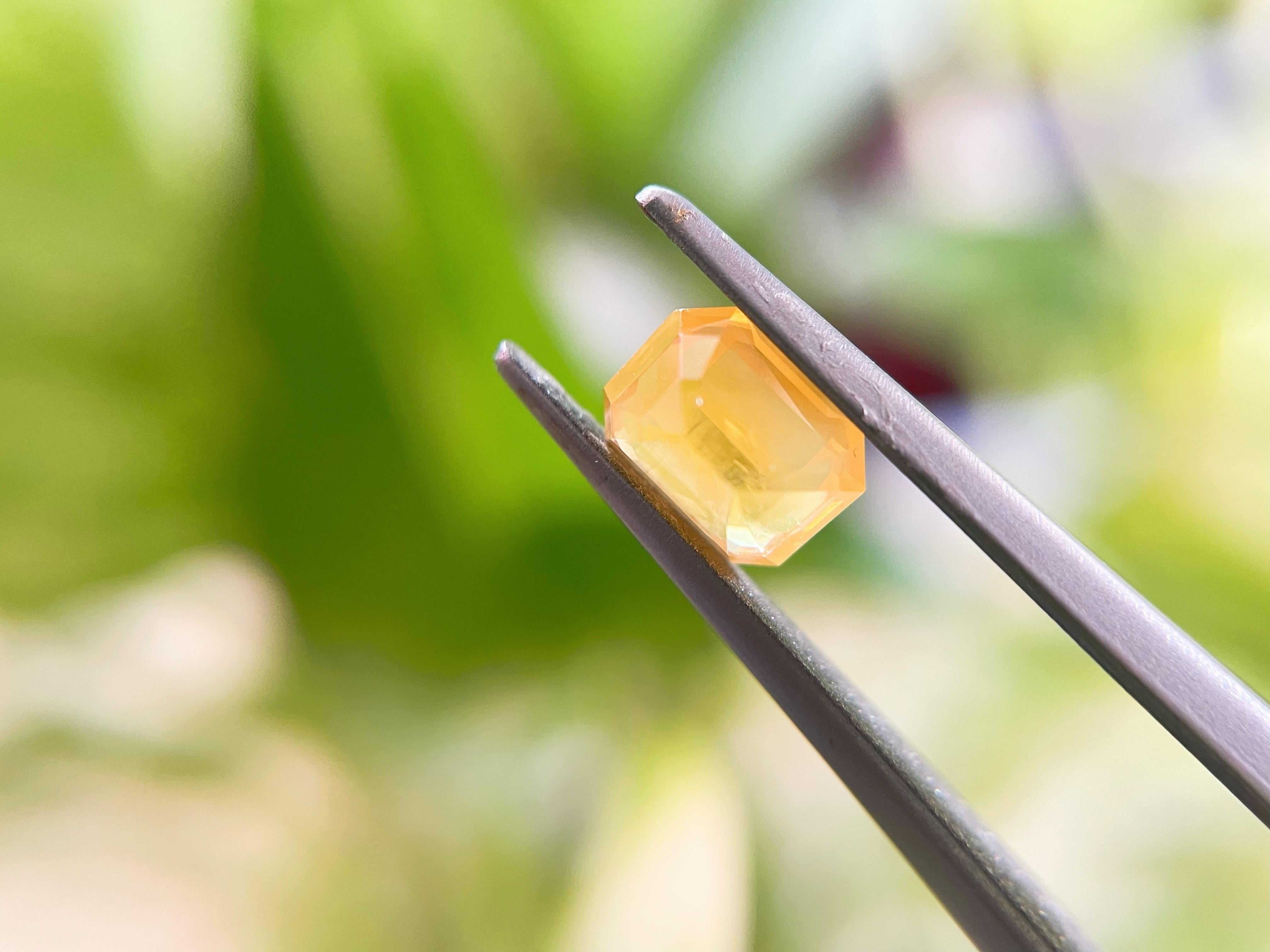 Natural Canary Yellow Sapphire, Loose Gemstone for Jewelry Making, 1.34 Ct in vendita 15