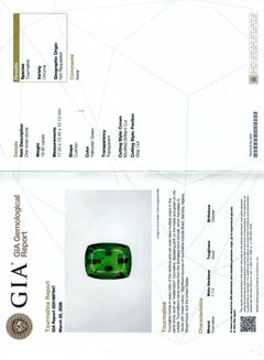 Natural Chrome Tourmaline 16.90 carats with GIA Report