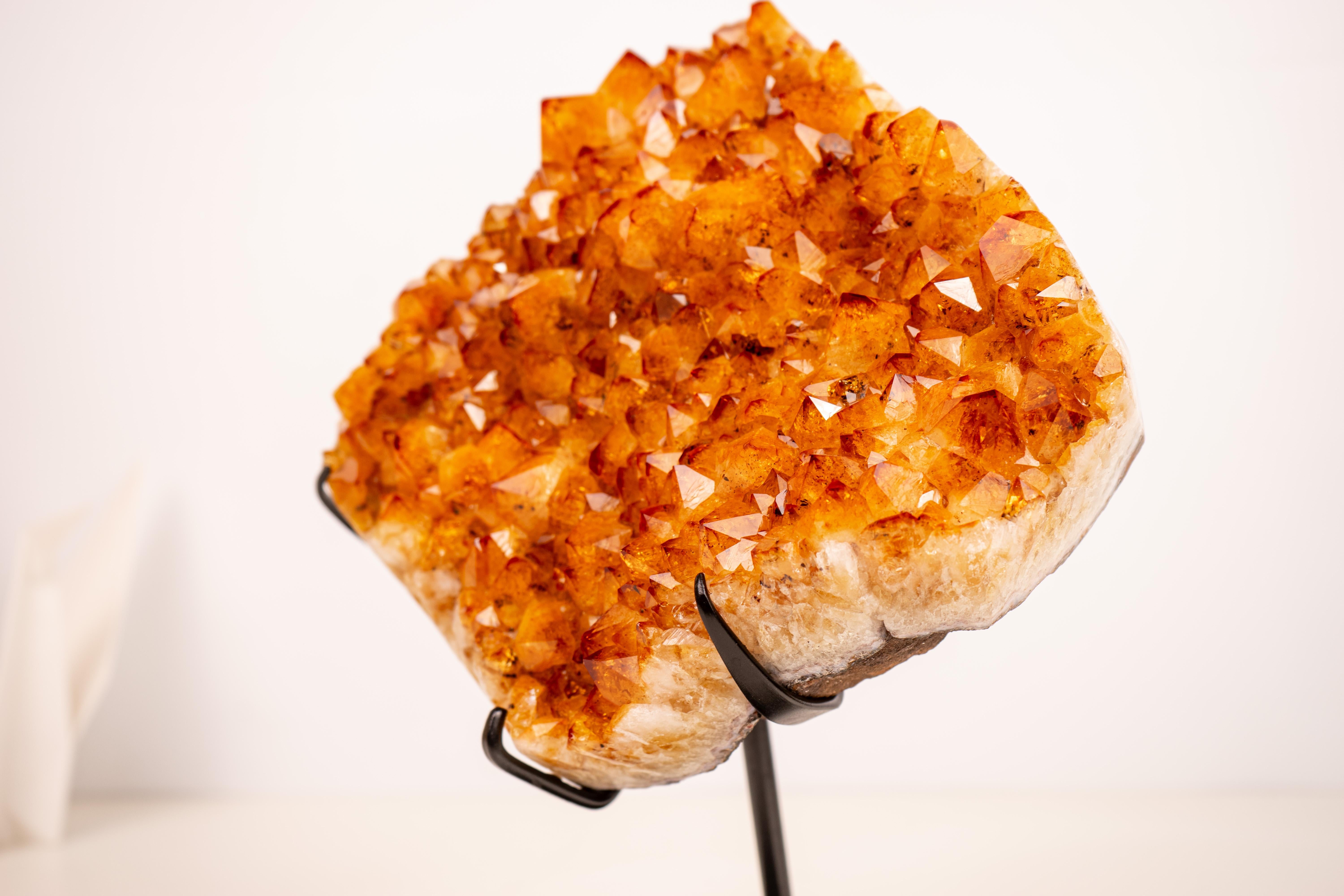 Cristallo Cluster di Citrino naturale con Druzy arancione di grado AAA su piedistallo in vendita