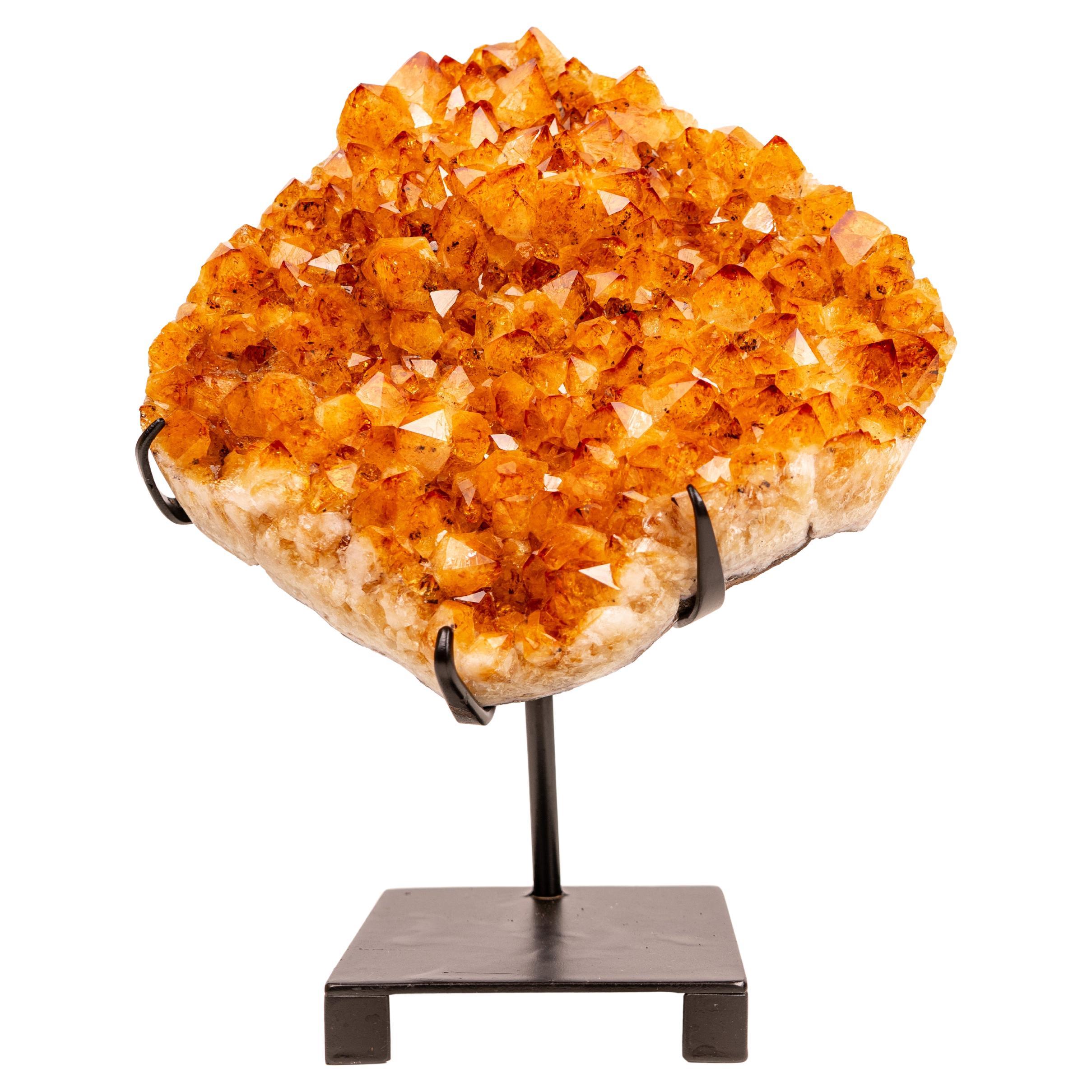 Natural Citrine Cluster with AAA-Grade Orange Druzy on Stand