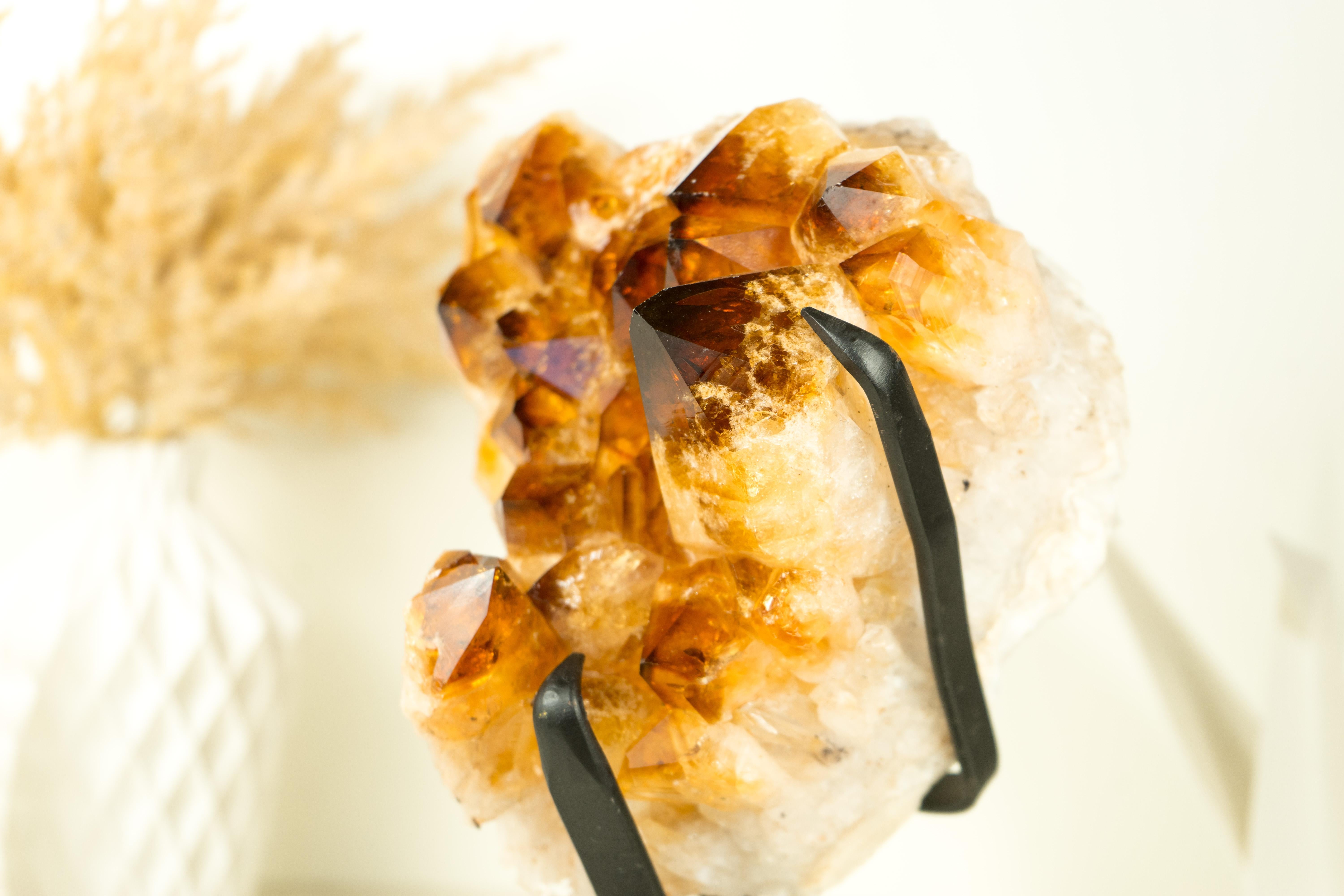 Natural Citrine Cluster with AAA Large Madeira Orange Citrine Druzy For Sale 4