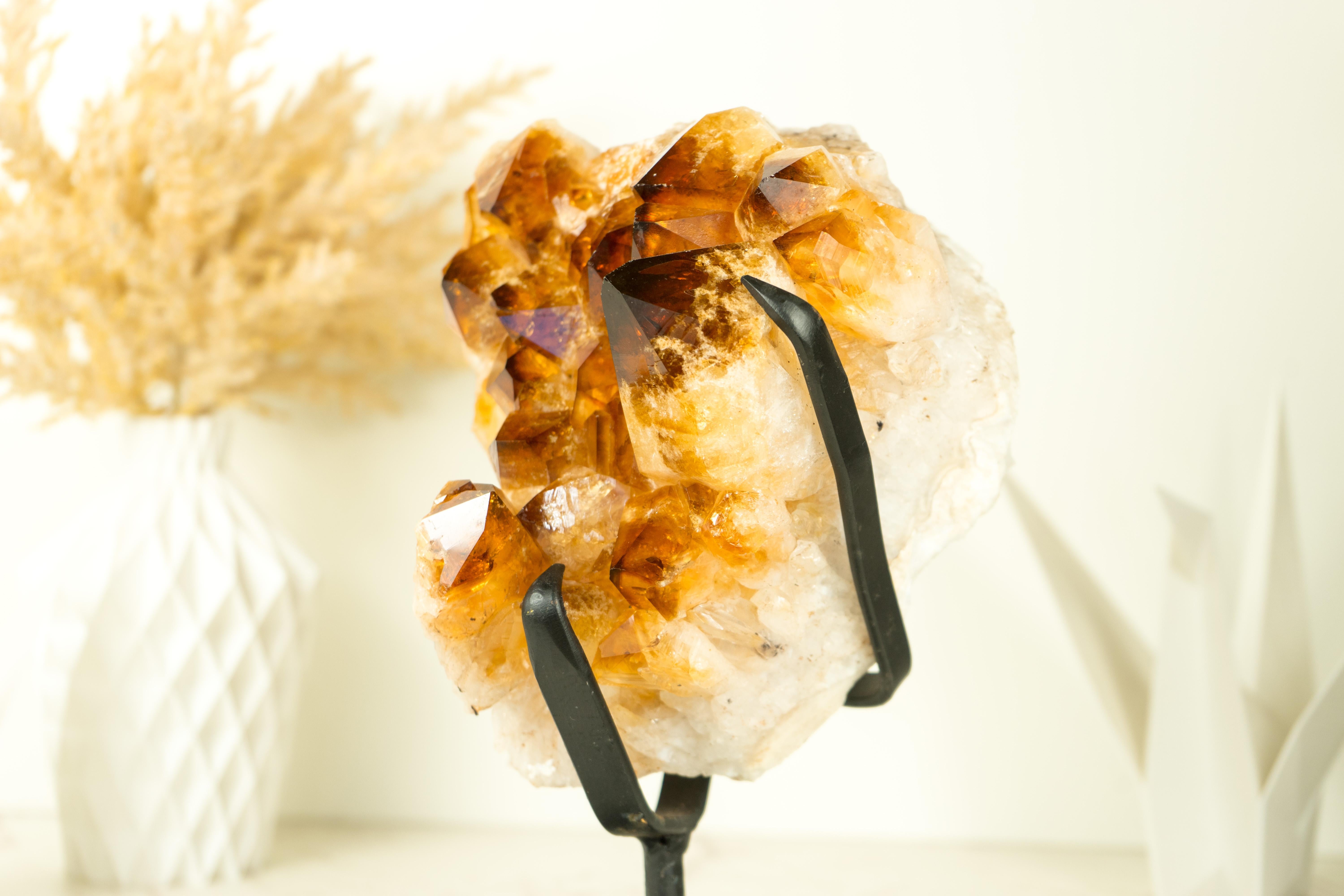 Natural Citrine Cluster with AAA Large Madeira Orange Citrine Druzy For Sale 5