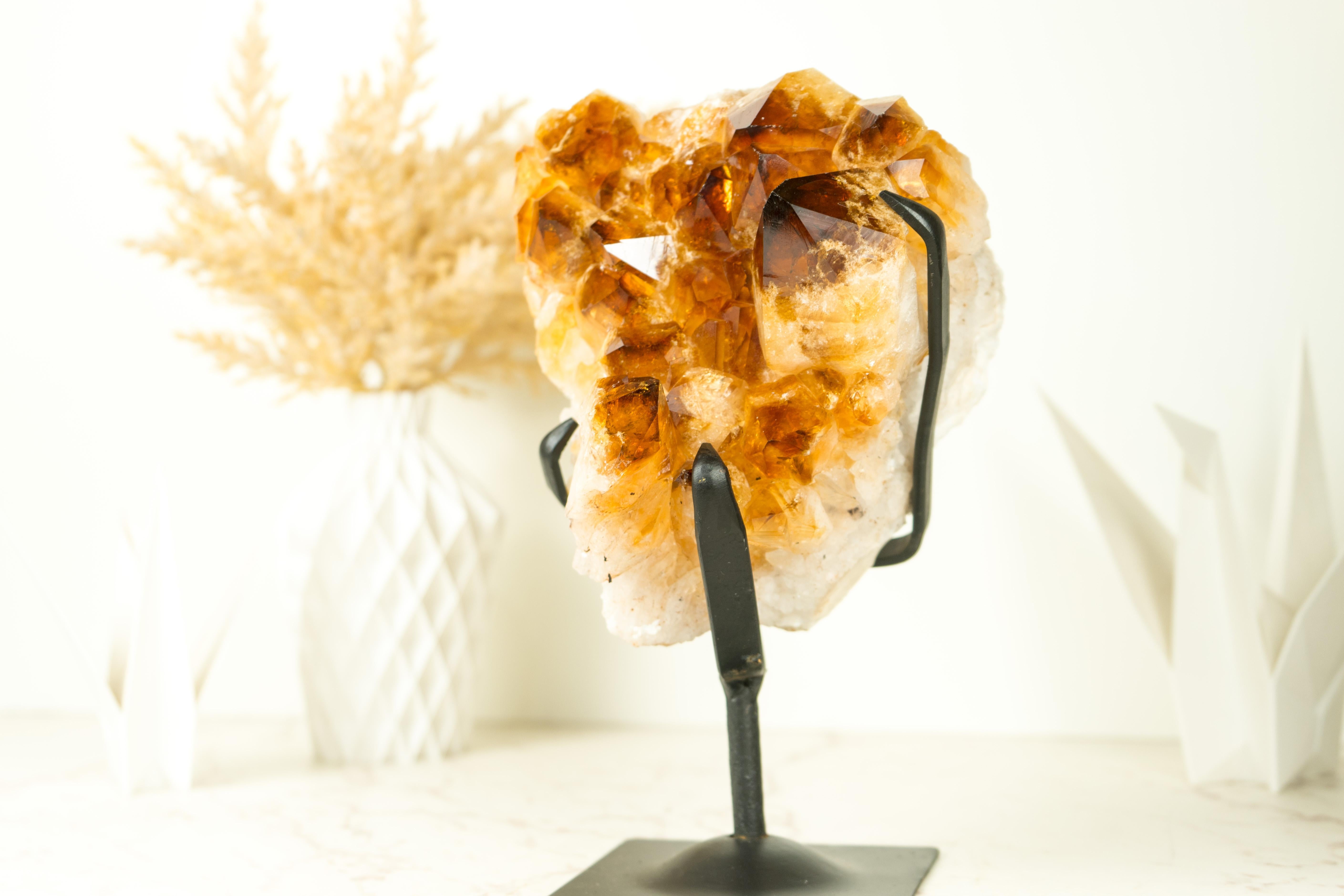Amethyst Natural Citrine Cluster with AAA Large Madeira Orange Citrine Druzy For Sale