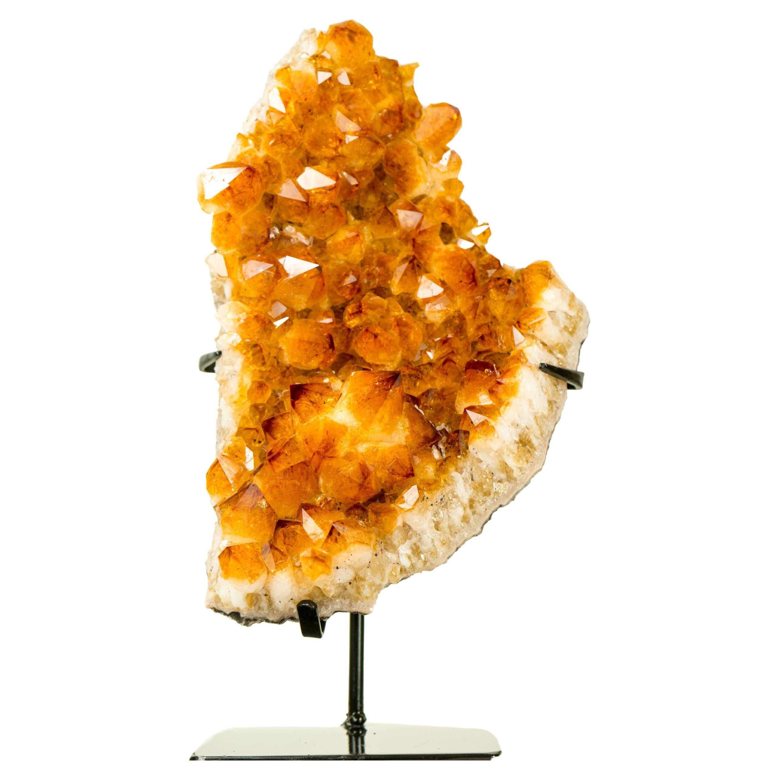 Cluster de citrine naturelle avec fleur en cristal, couleur orange doré, décor naturel