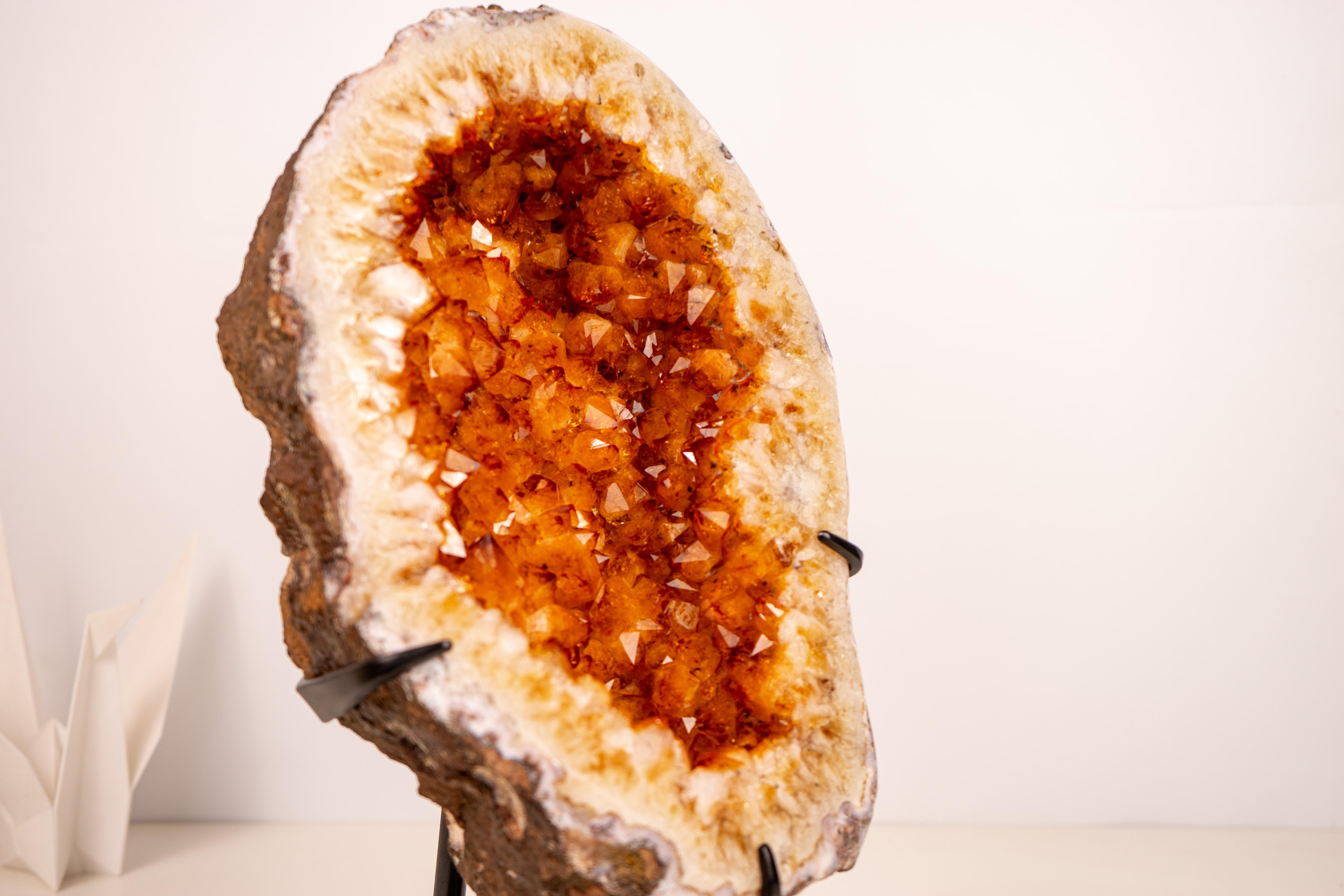 Small Natural Citrine Geode Cave on Stand, High-Grade Orange Citrine Points, Ethically Sourced

▫️ Description
 
Sitting on a display, this elegant natural citrine geode brings a beautiful format and hundreds of perfect intact Orange points. Small